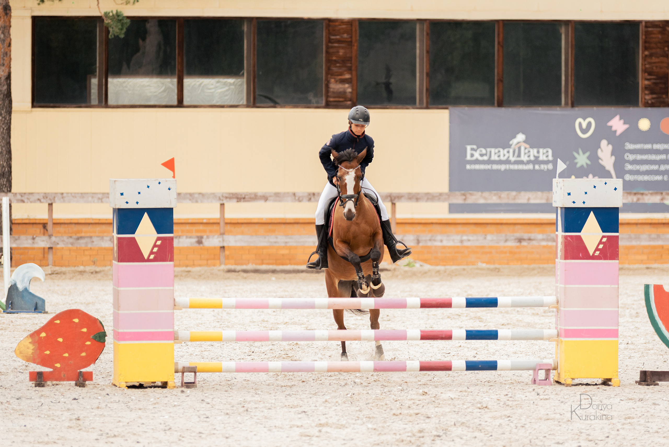 КСК Белая Дача, конкур. Конный фотограф Куракина Дарья • Фотосессии с лошадьми
