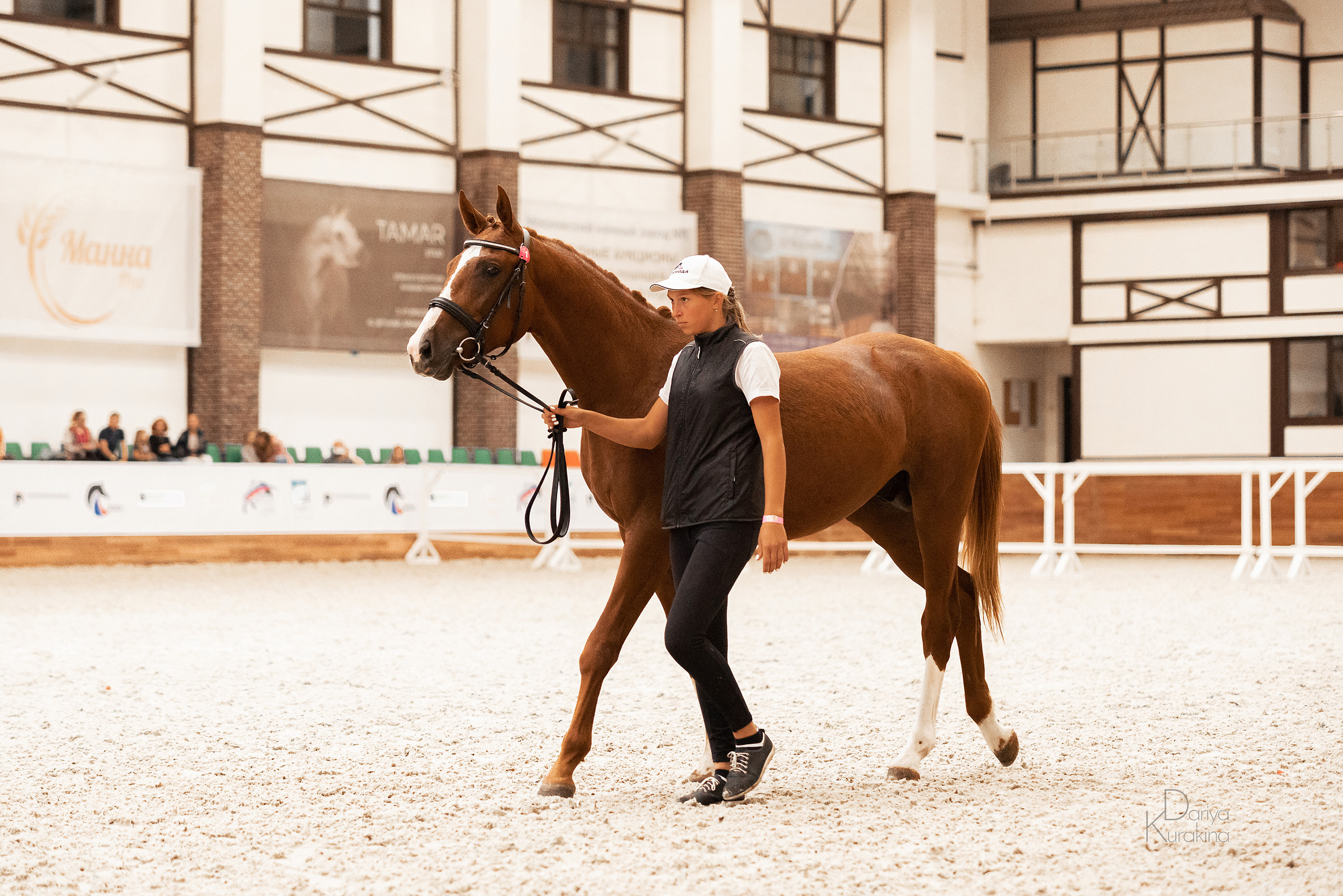 Конная Россия 2021. Конный фотограф Куракина Дарья • Фотосессии с лошадьми