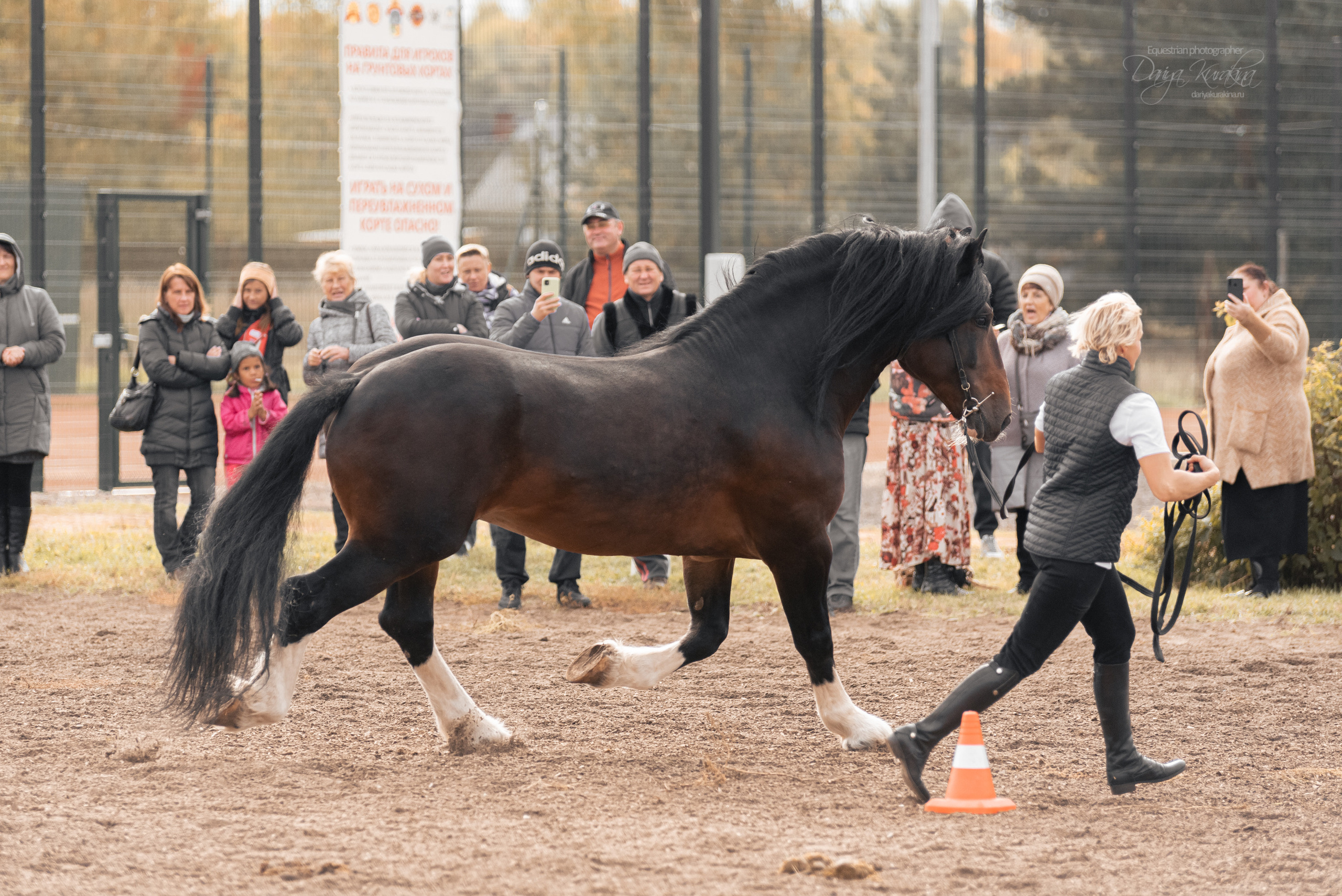 Богдарня. Конный фотограф Куракина Дарья • Фотосессии с лошадьми