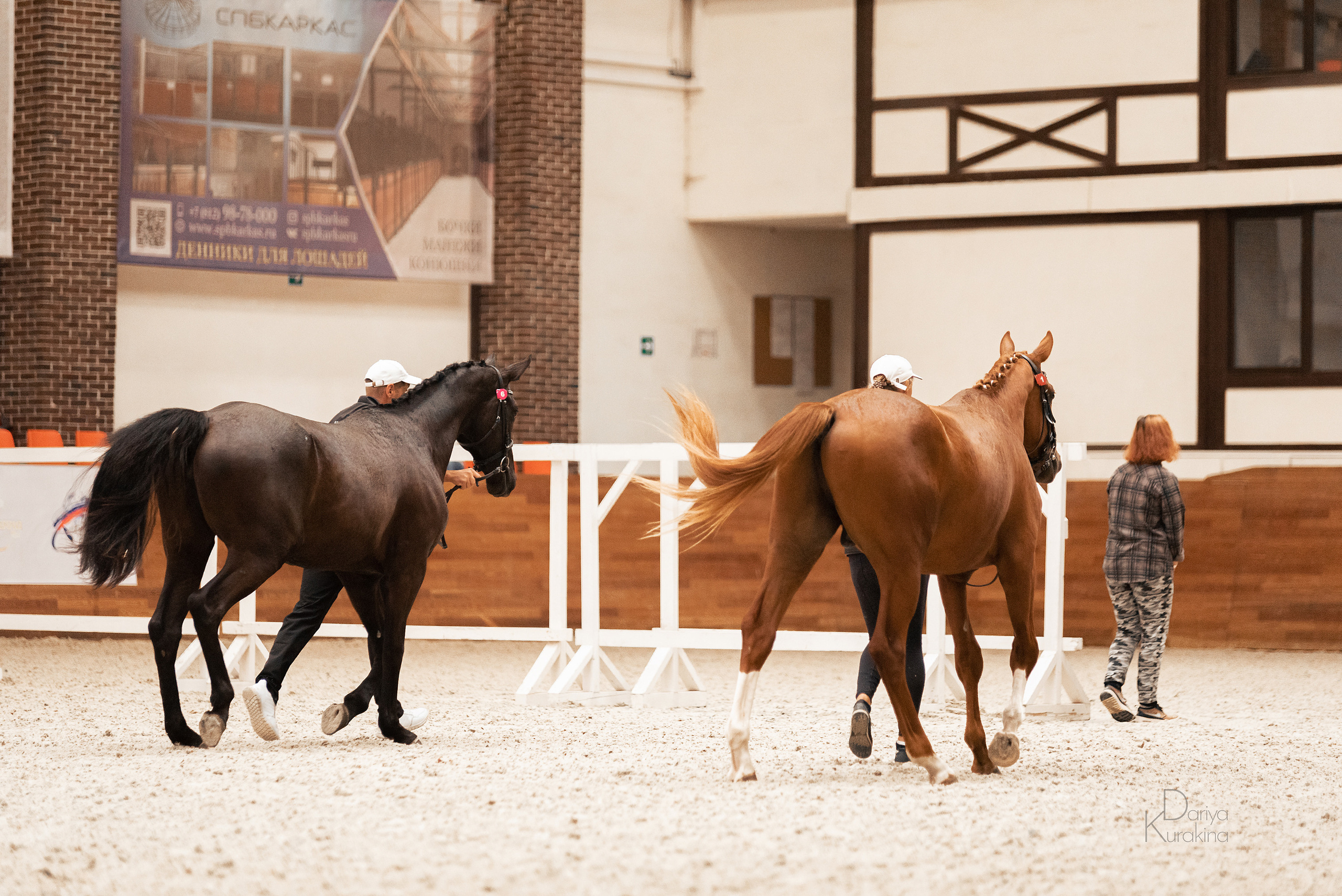 Конная Россия 2021. Конный фотограф Куракина Дарья • Фотосессии с лошадьми