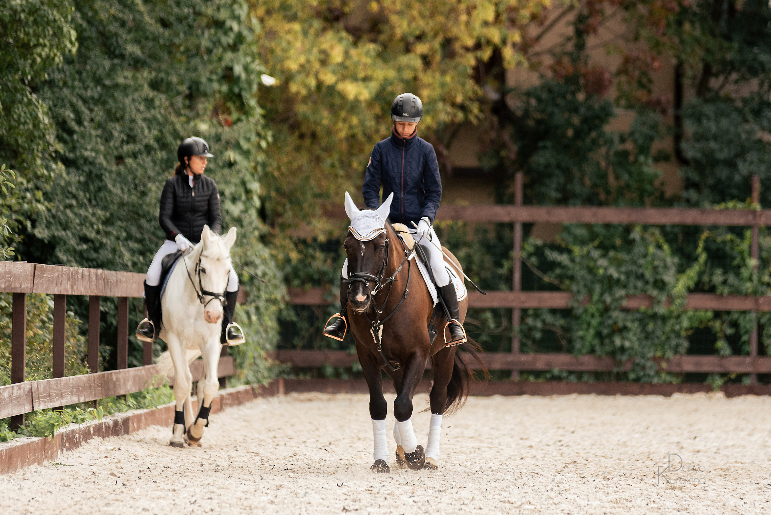 КСК Белая Дача, конкур. Конный фотограф Куракина Дарья • Фотосессии с лошадьми
