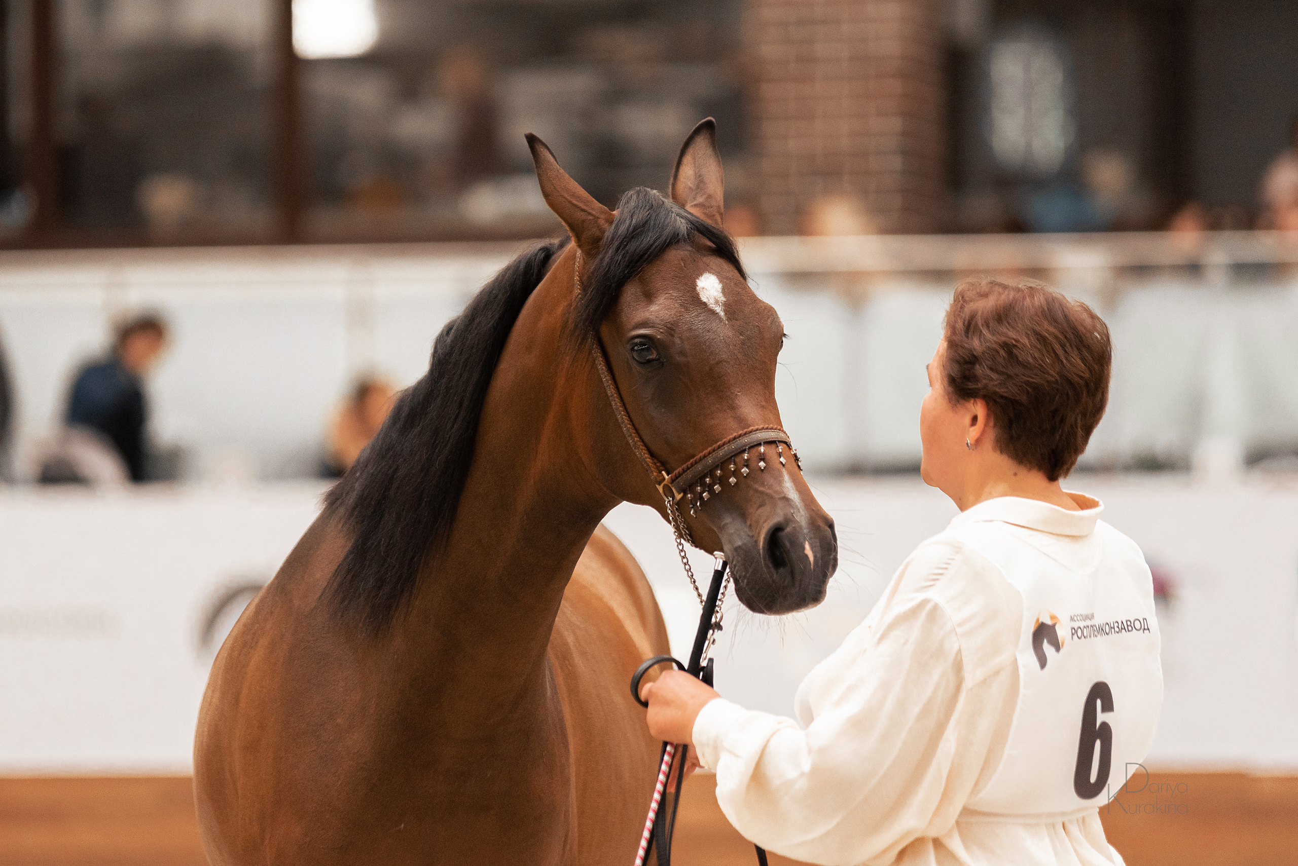 Конная Россия 2021. Конный фотограф Куракина Дарья • Фотосессии с лошадьми