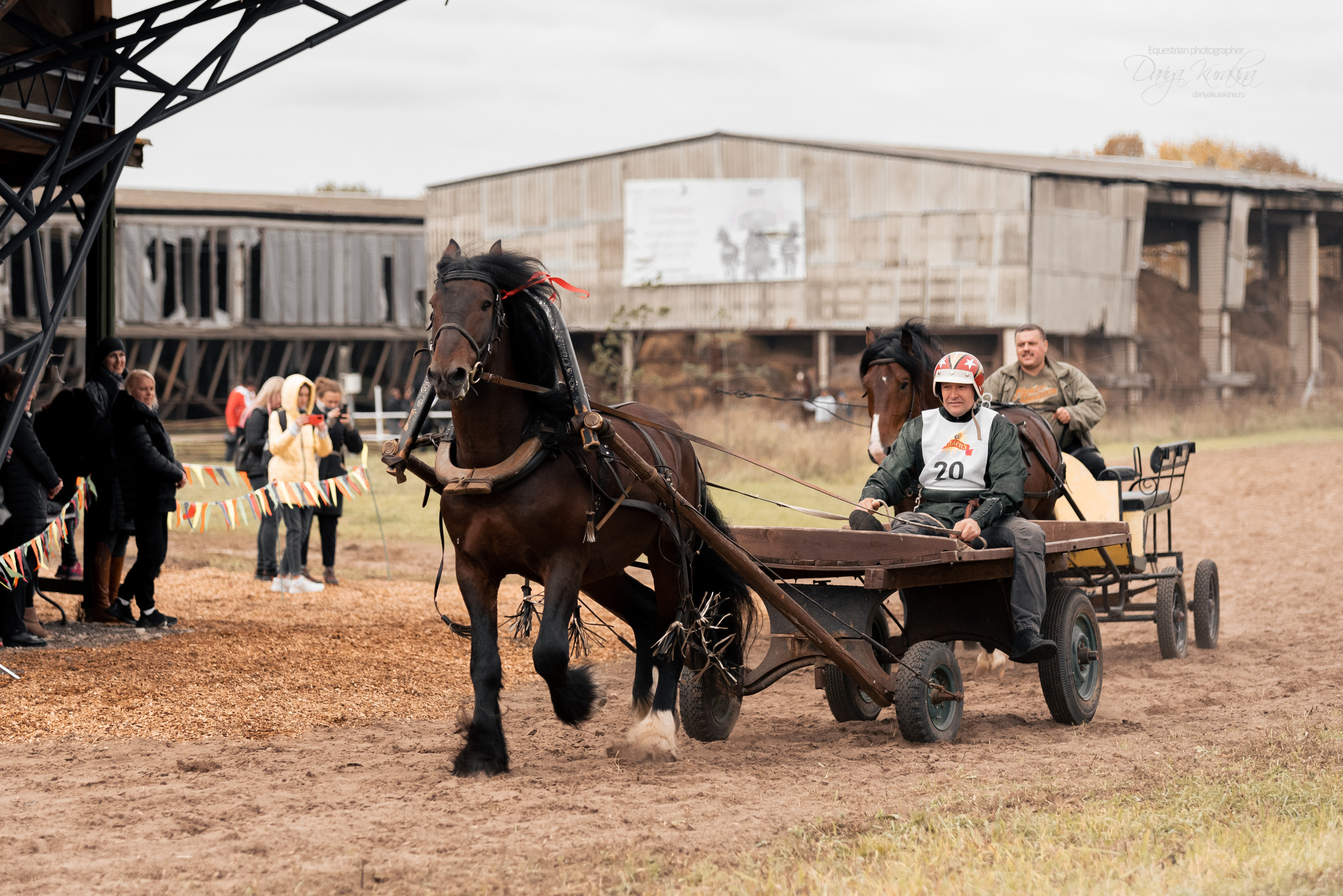 Богдарня. Конный фотограф Куракина Дарья • Фотосессии с лошадьми
