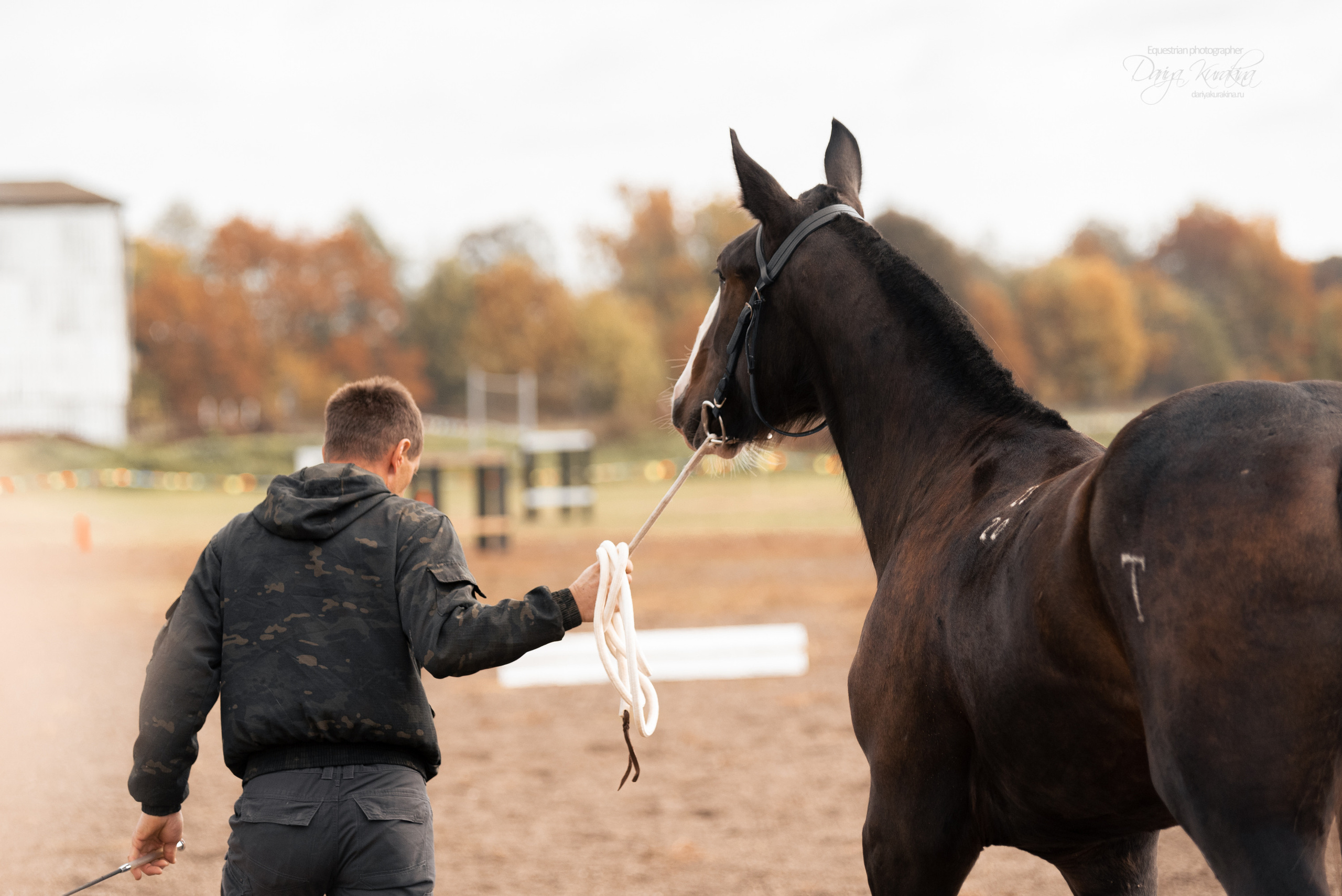 Богдарня. Конный фотограф Куракина Дарья • Фотосессии с лошадьми