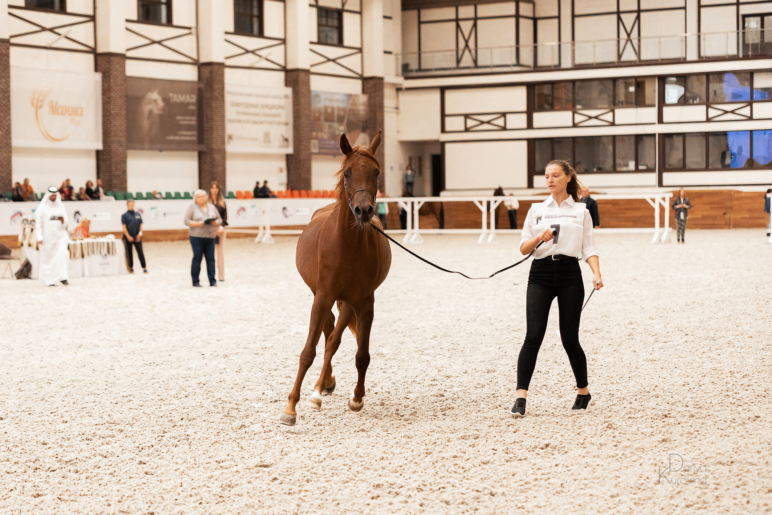 Конная Россия 2021. Конный фотограф Куракина Дарья • Фотосессии с лошадьми