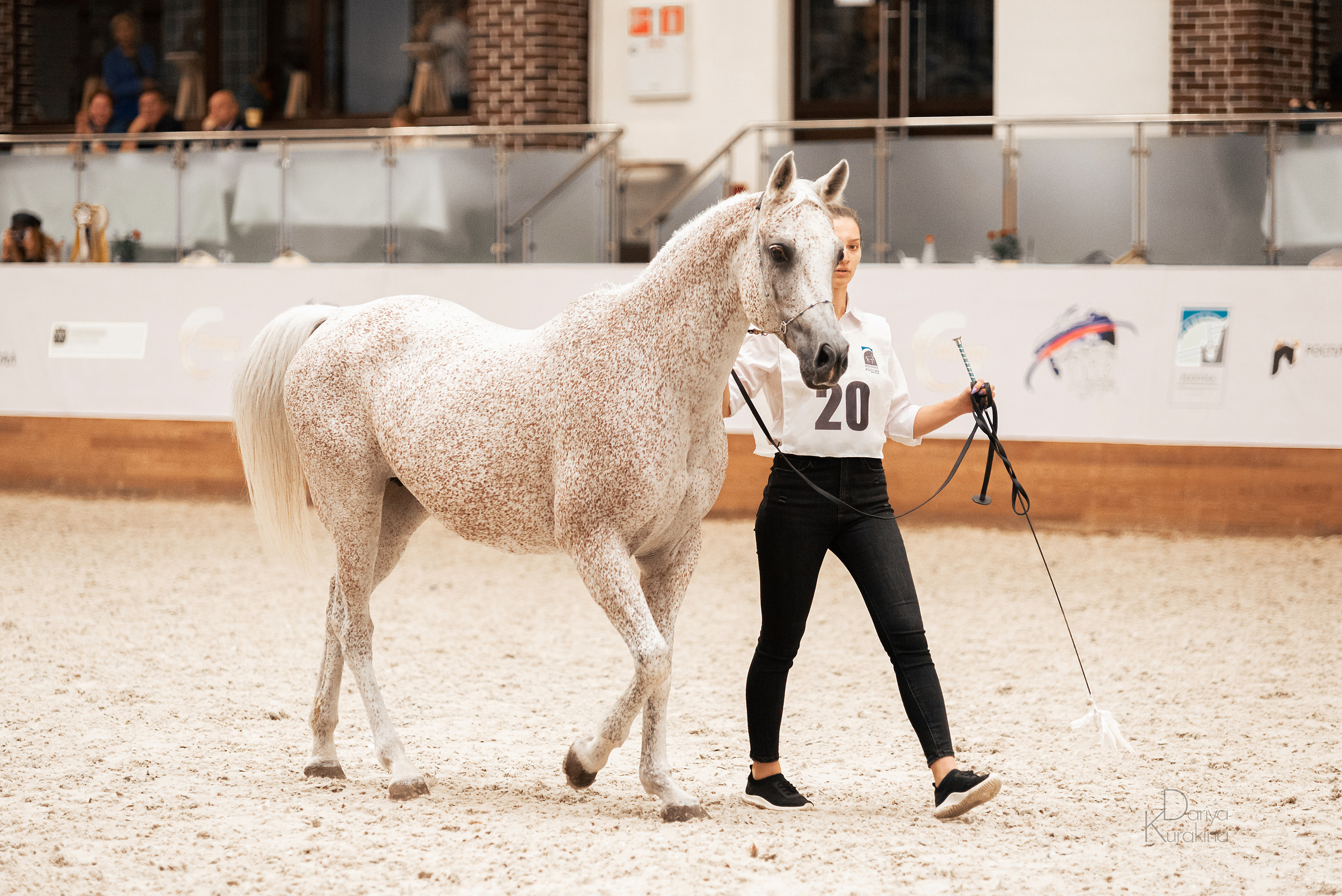Конная Россия 2021. Конный фотограф Куракина Дарья • Фотосессии с лошадьми