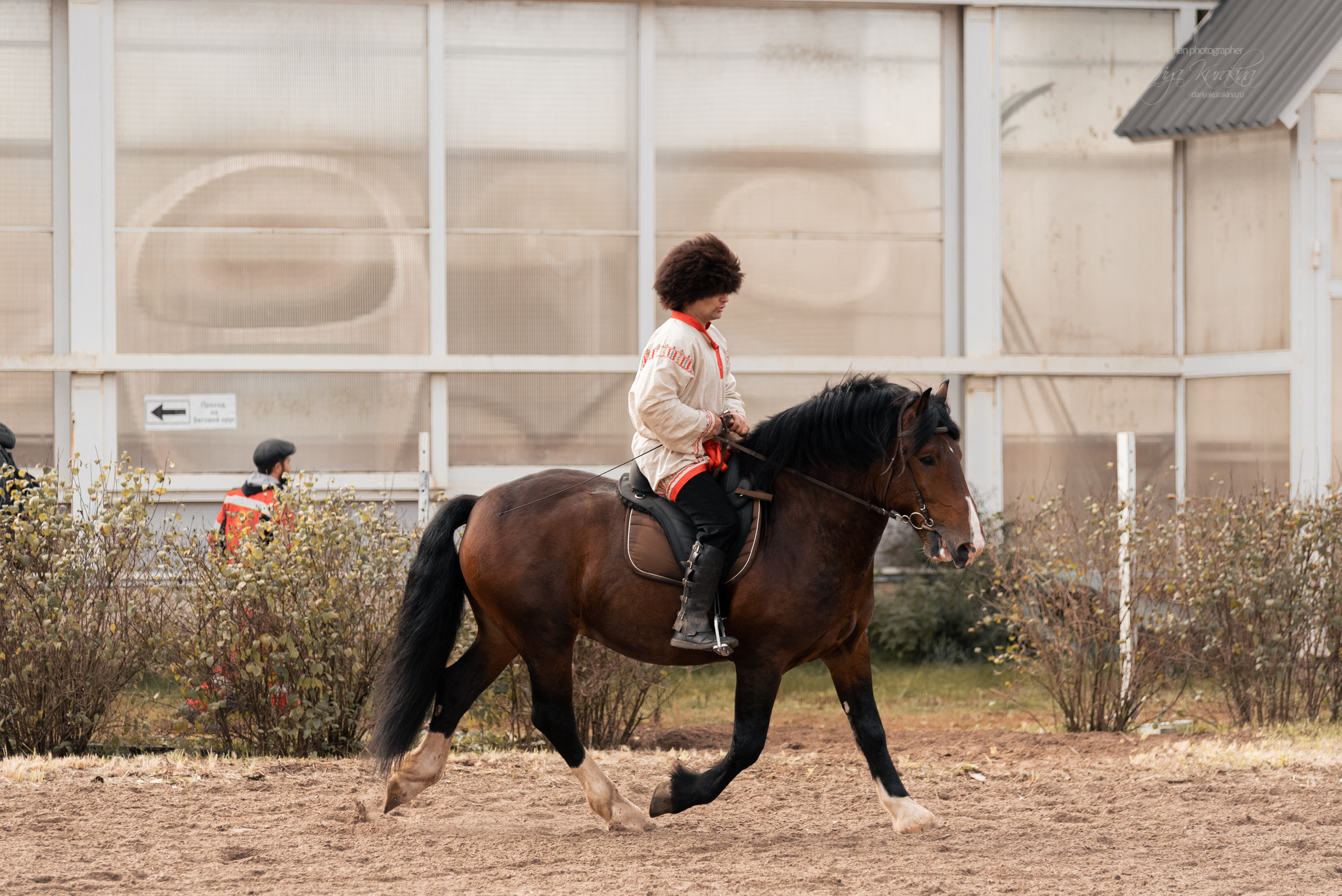 Богдарня. Конный фотограф Куракина Дарья • Фотосессии с лошадьми
