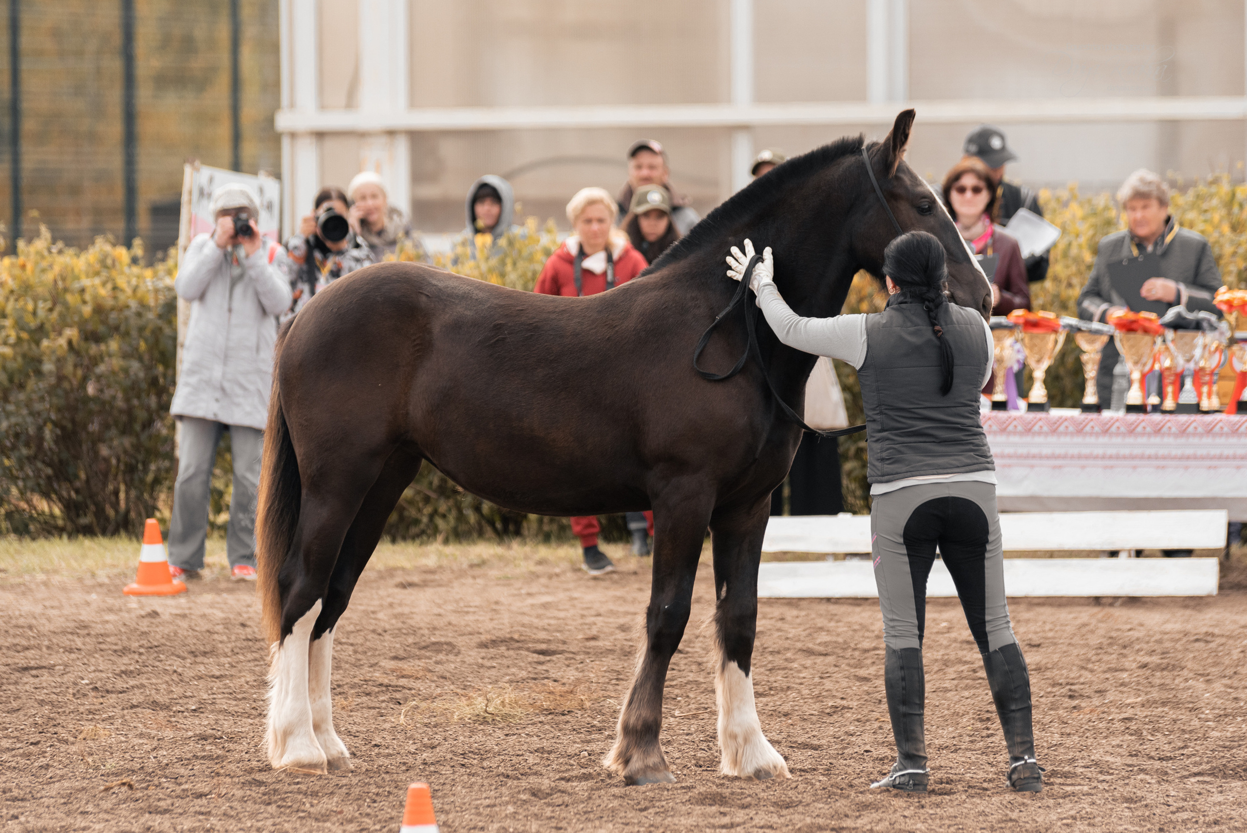 Богдарня. Конный фотограф Куракина Дарья • Фотосессии с лошадьми