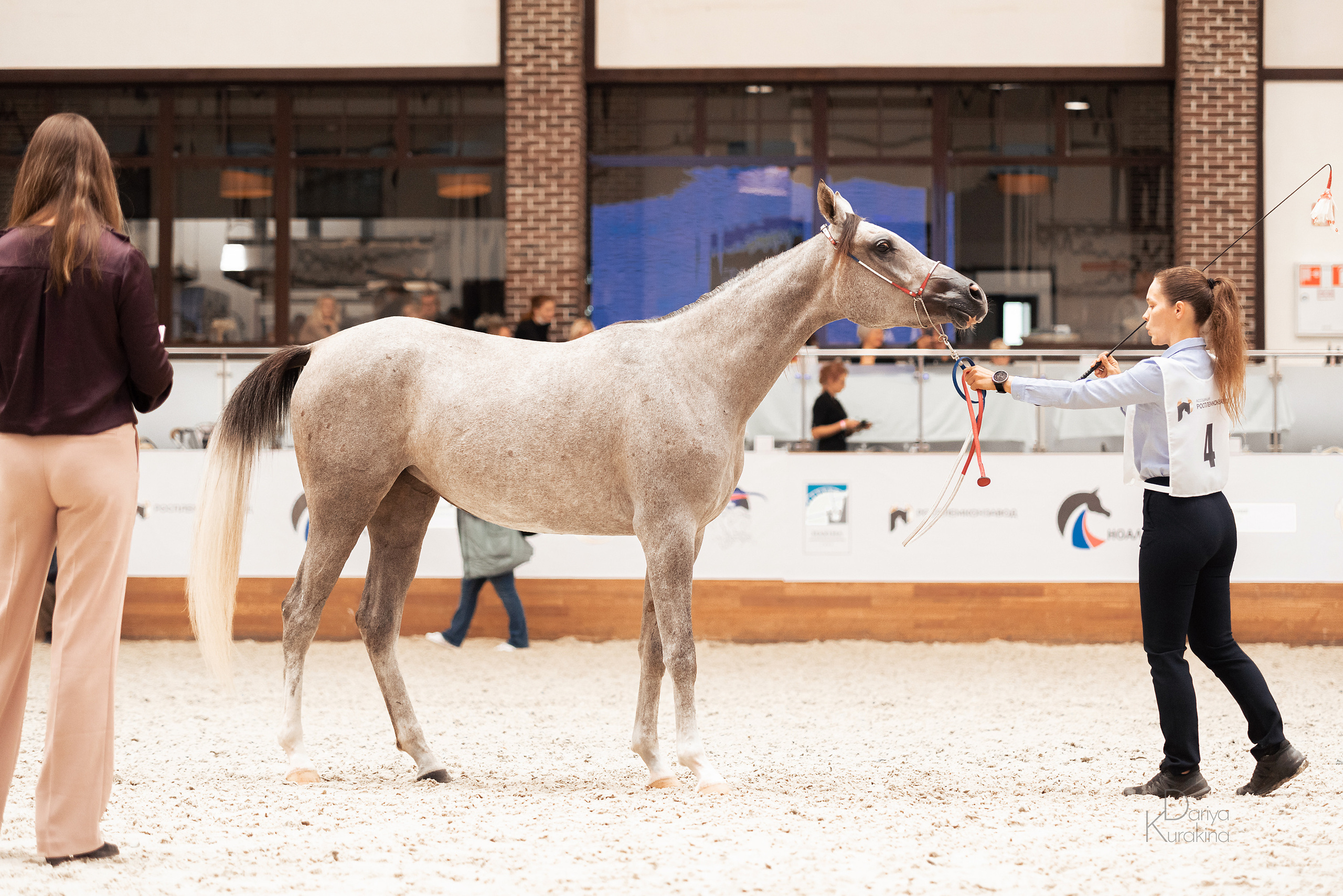 Конная Россия 2021. Конный фотограф Куракина Дарья • Фотосессии с лошадьми