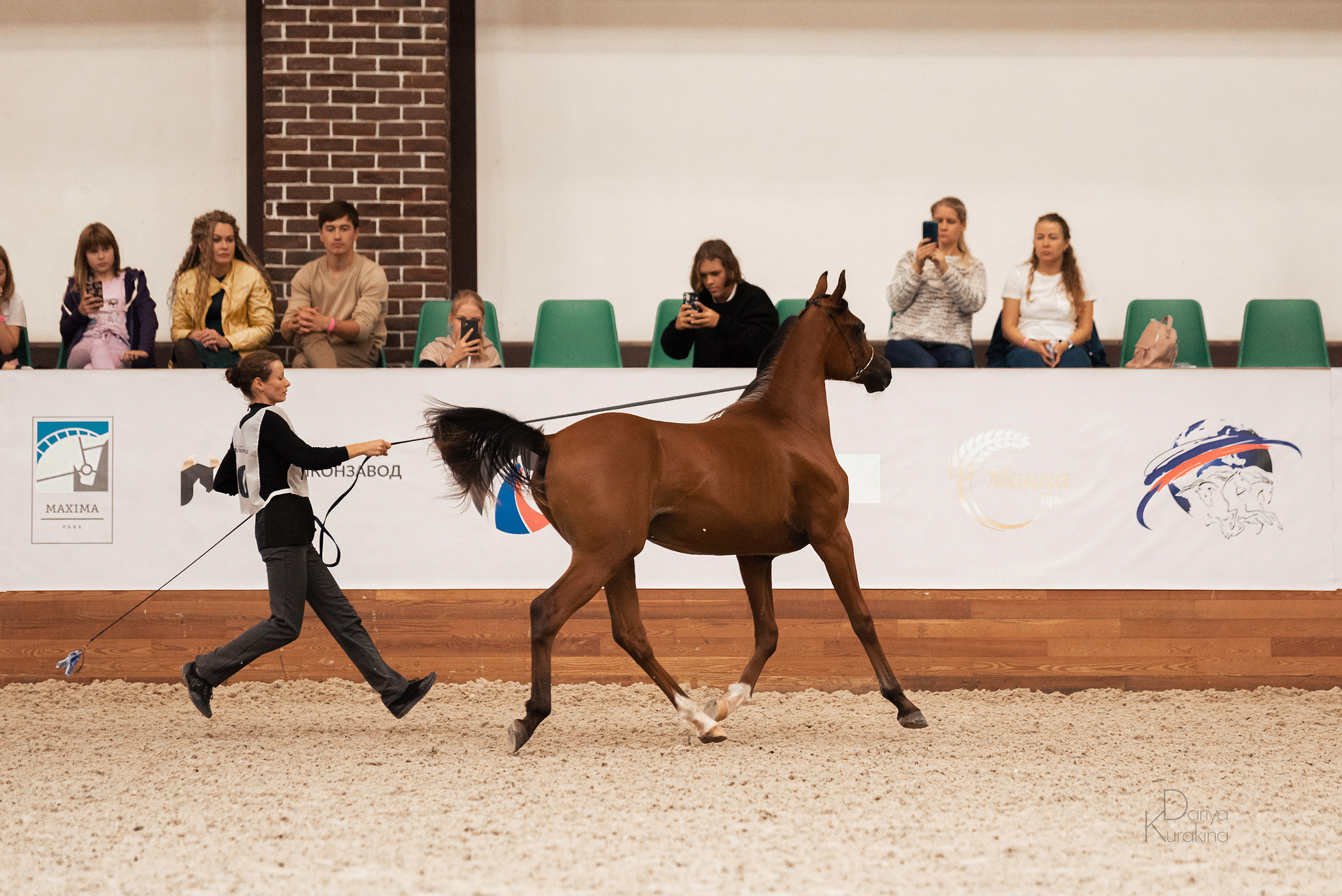 Конная Россия 2021. Конный фотограф Куракина Дарья • Фотосессии с лошадьми
