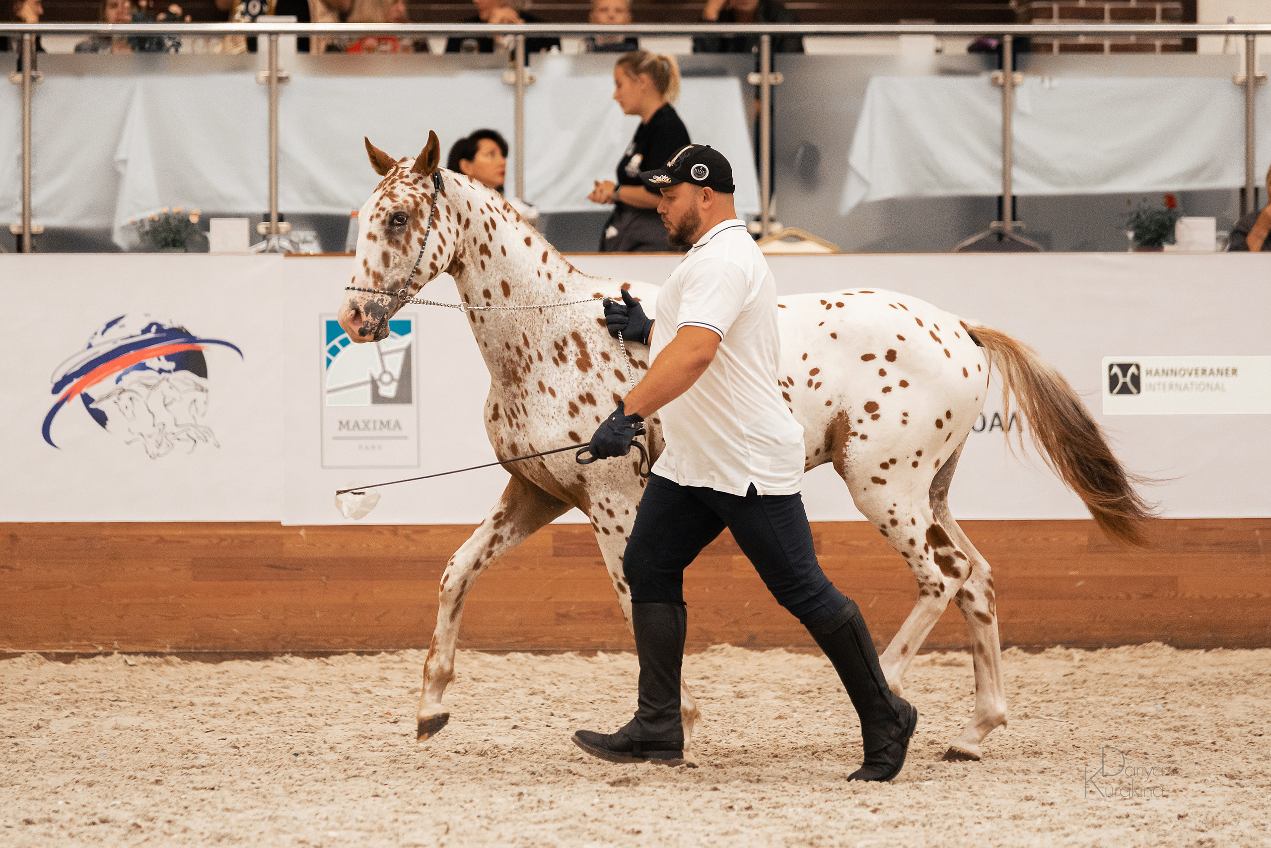 Конная Россия 2021. Конный фотограф Куракина Дарья • Фотосессии с лошадьми