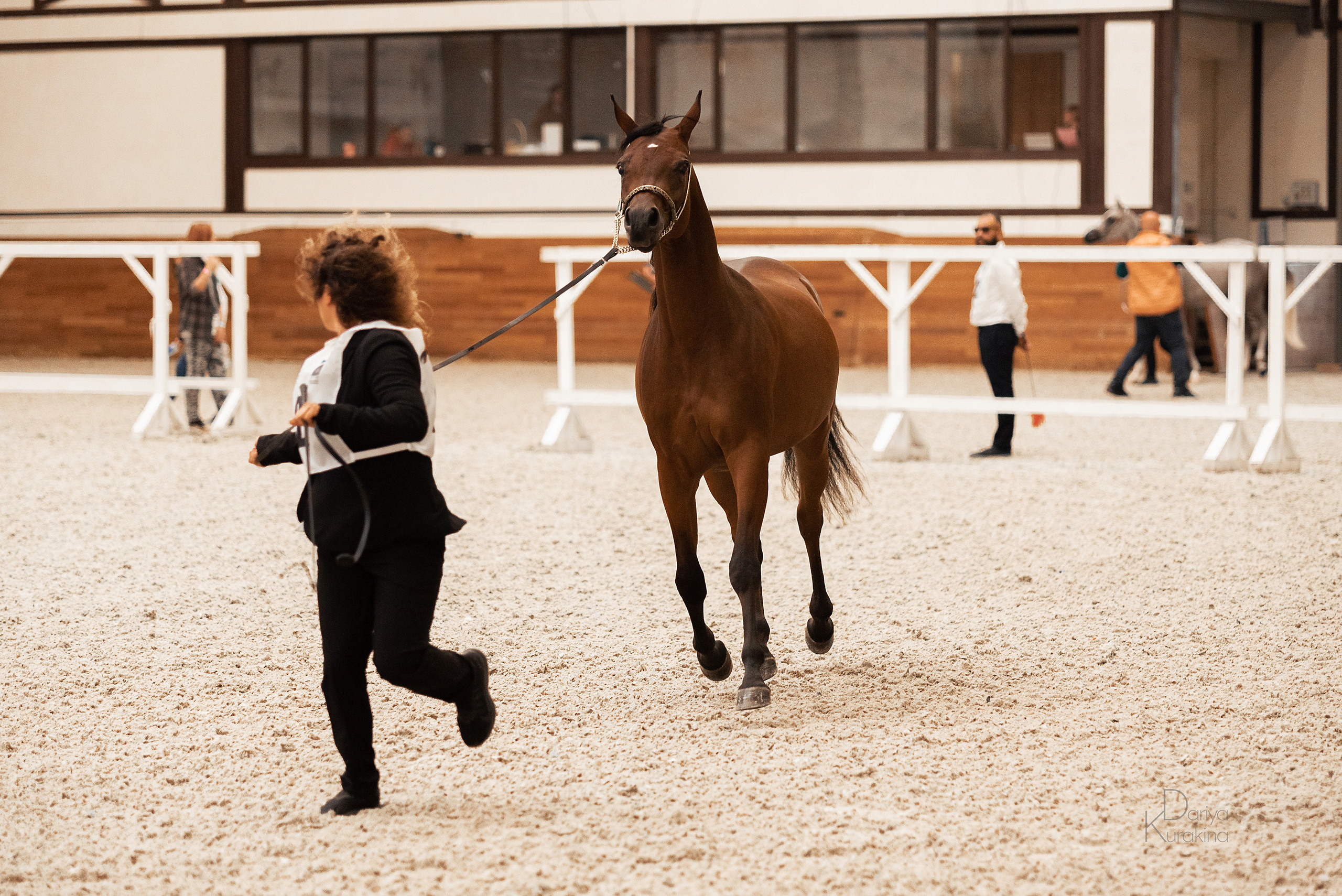 Конная Россия 2021. Конный фотограф Куракина Дарья • Фотосессии с лошадьми