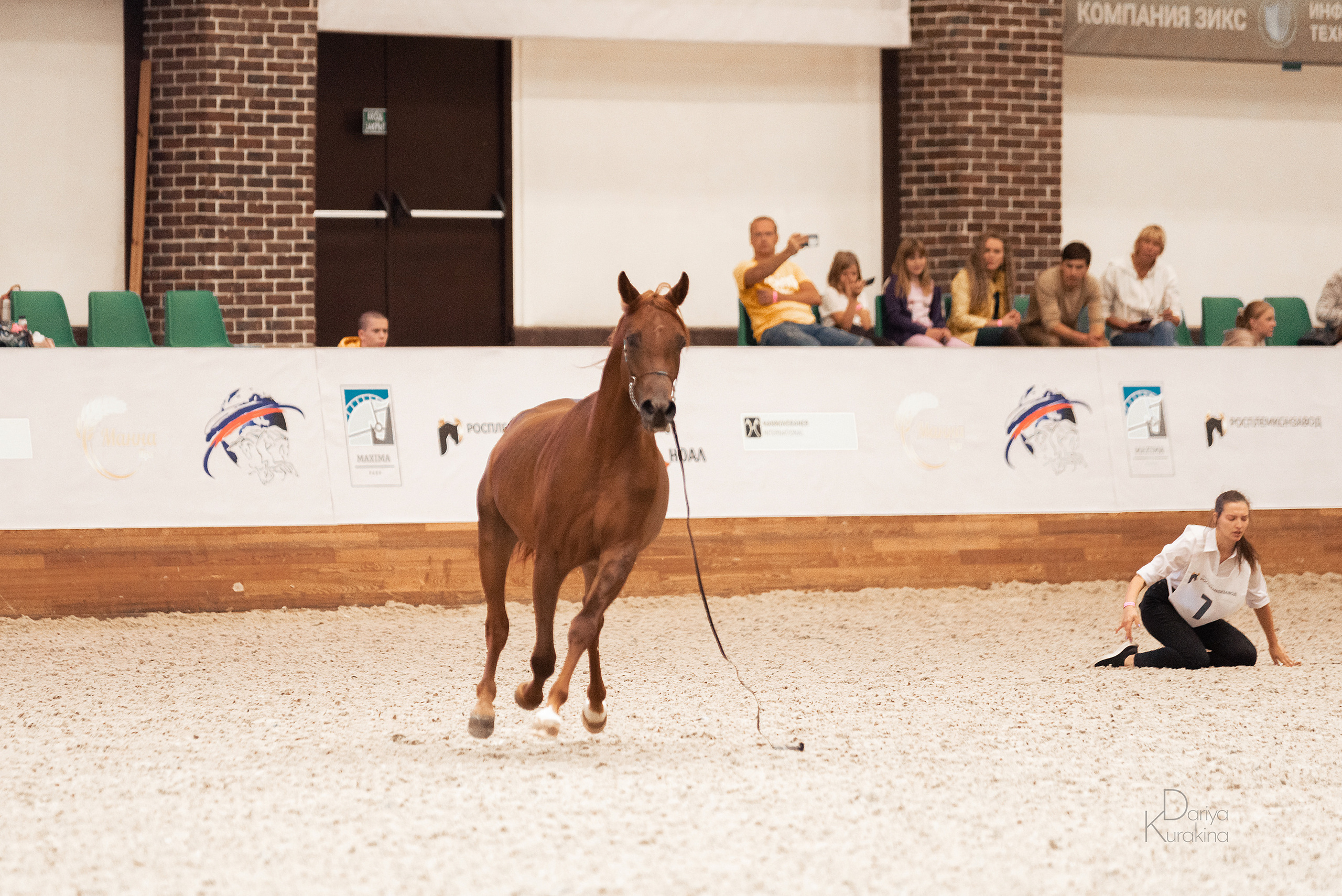 Конная Россия 2021. Конный фотограф Куракина Дарья • Фотосессии с лошадьми