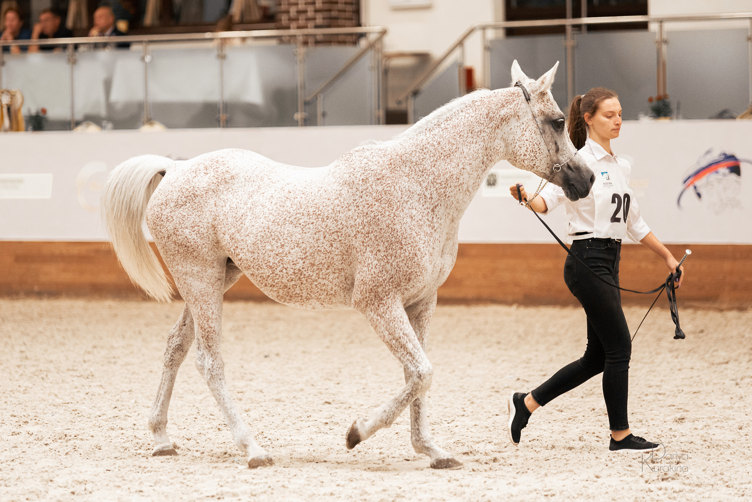 Конная Россия 2021. Конный фотограф Куракина Дарья • Фотосессии с лошадьми