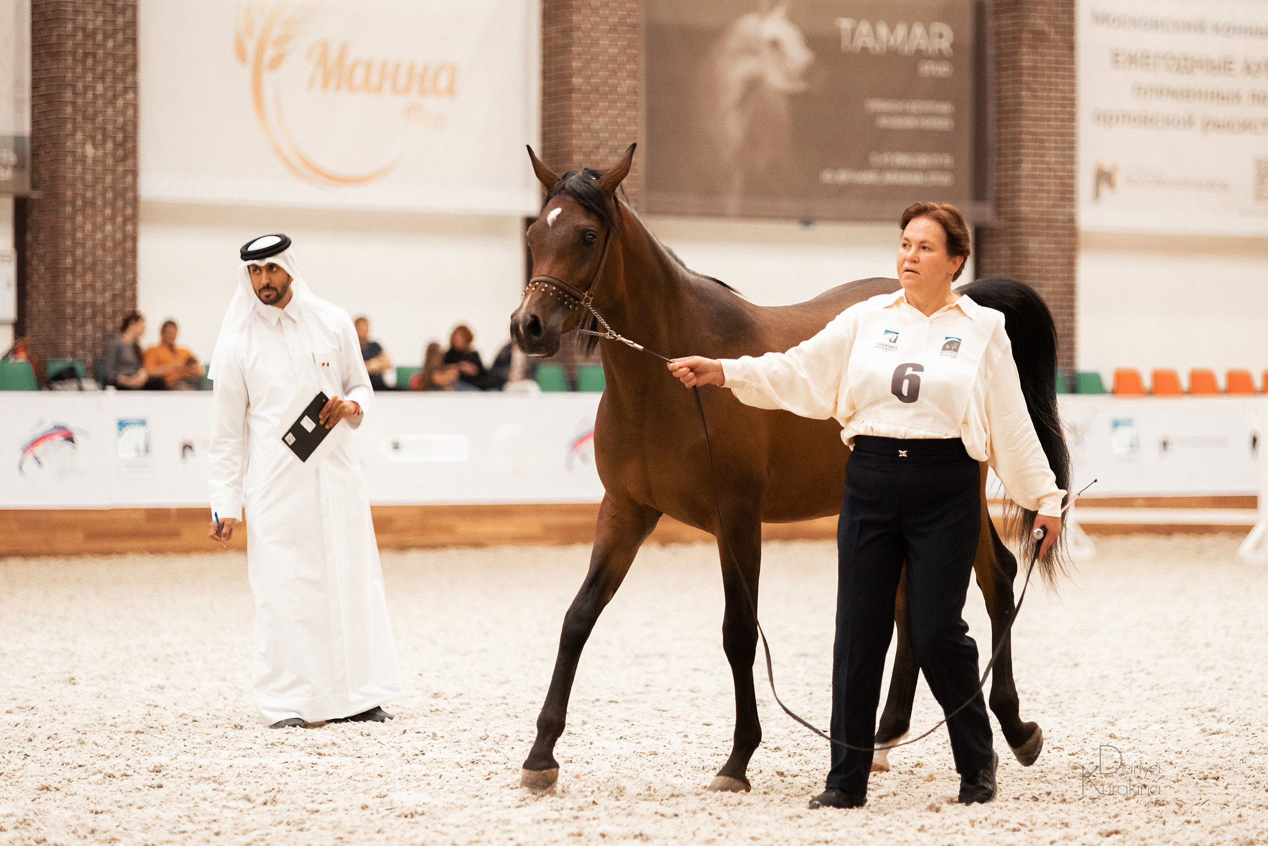Конная Россия 2021. Конный фотограф Куракина Дарья • Фотосессии с лошадьми