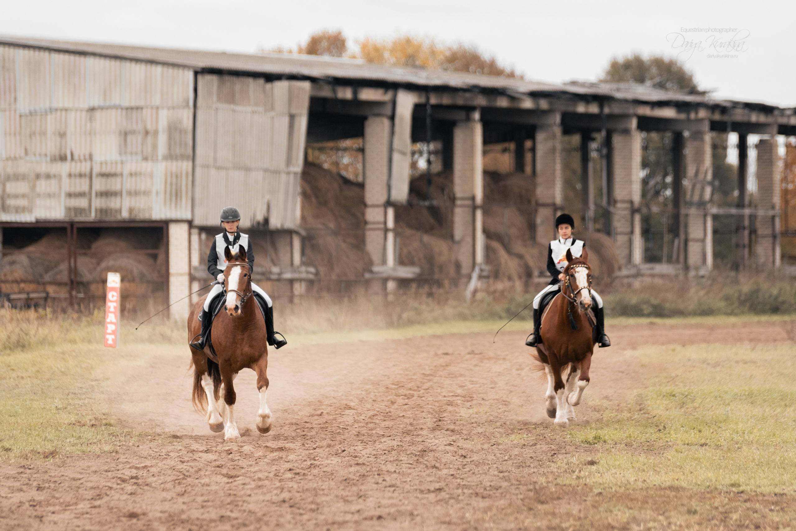 Богдарня. Конный фотограф Куракина Дарья • Фотосессии с лошадьми
