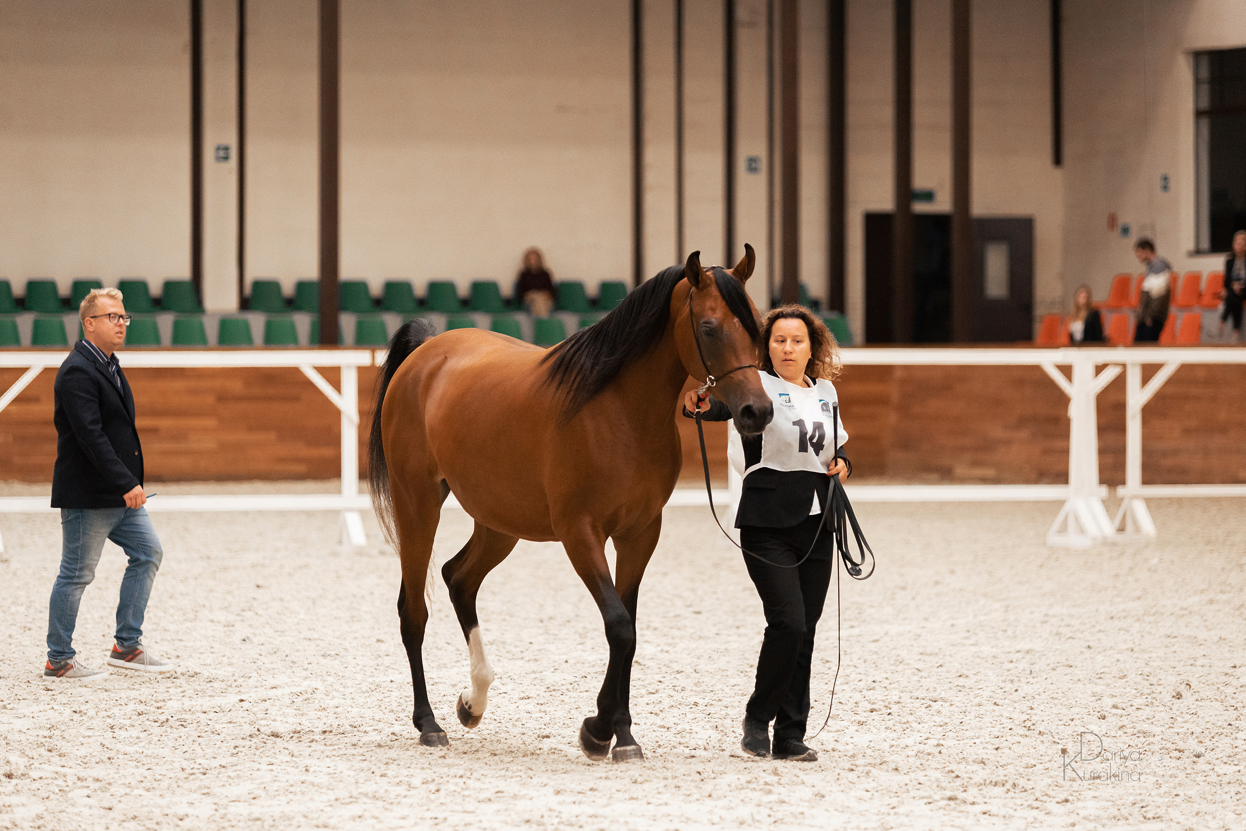 Конная Россия 2021. Конный фотограф Куракина Дарья • Фотосессии с лошадьми