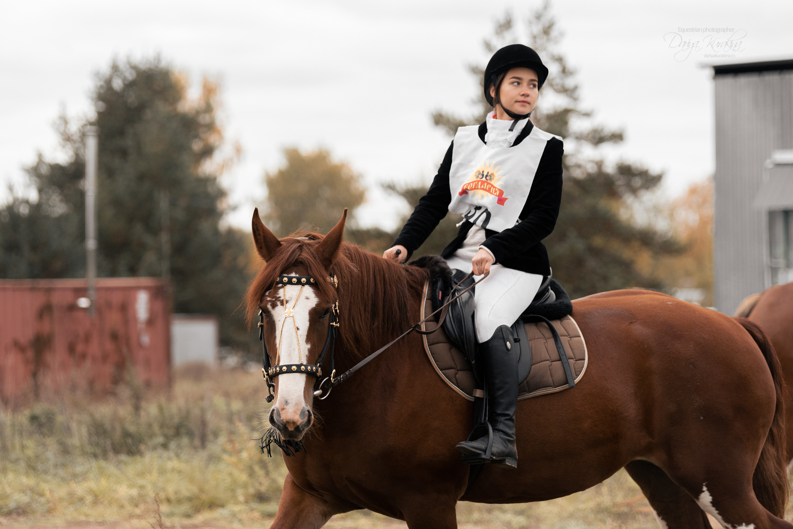 Богдарня. Конный фотограф Куракина Дарья • Фотосессии с лошадьми