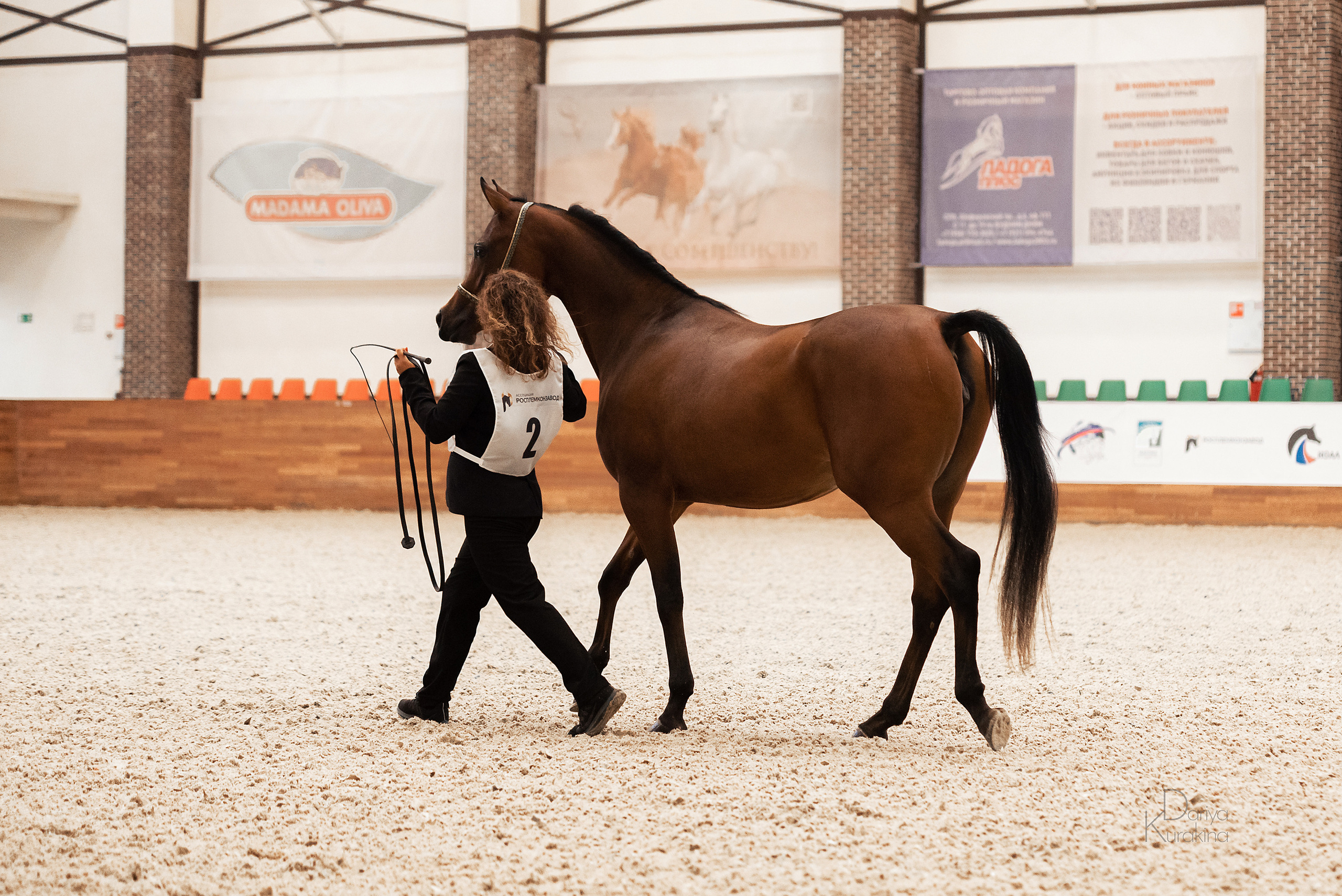 Конная Россия 2021. Конный фотограф Куракина Дарья • Фотосессии с лошадьми