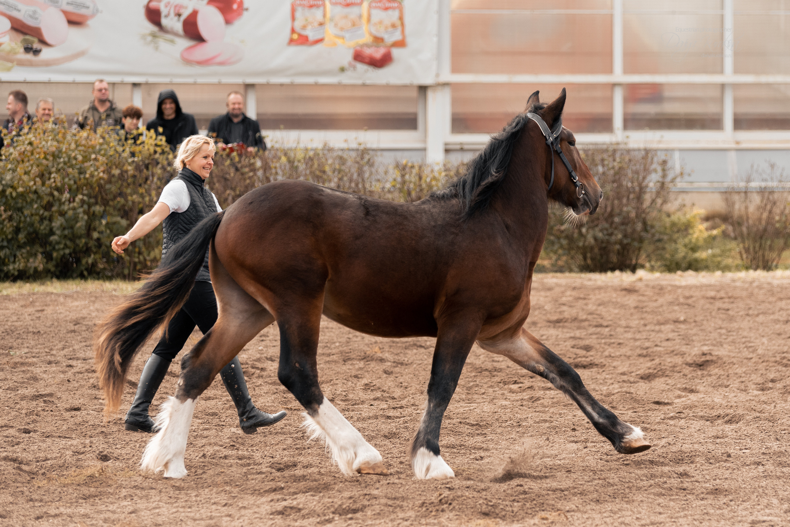 Богдарня. Конный фотограф Куракина Дарья • Фотосессии с лошадьми