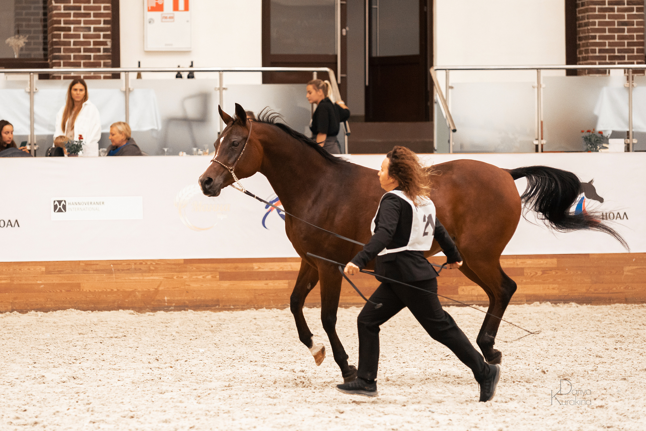 Конная Россия 2021. Конный фотограф Куракина Дарья • Фотосессии с лошадьми