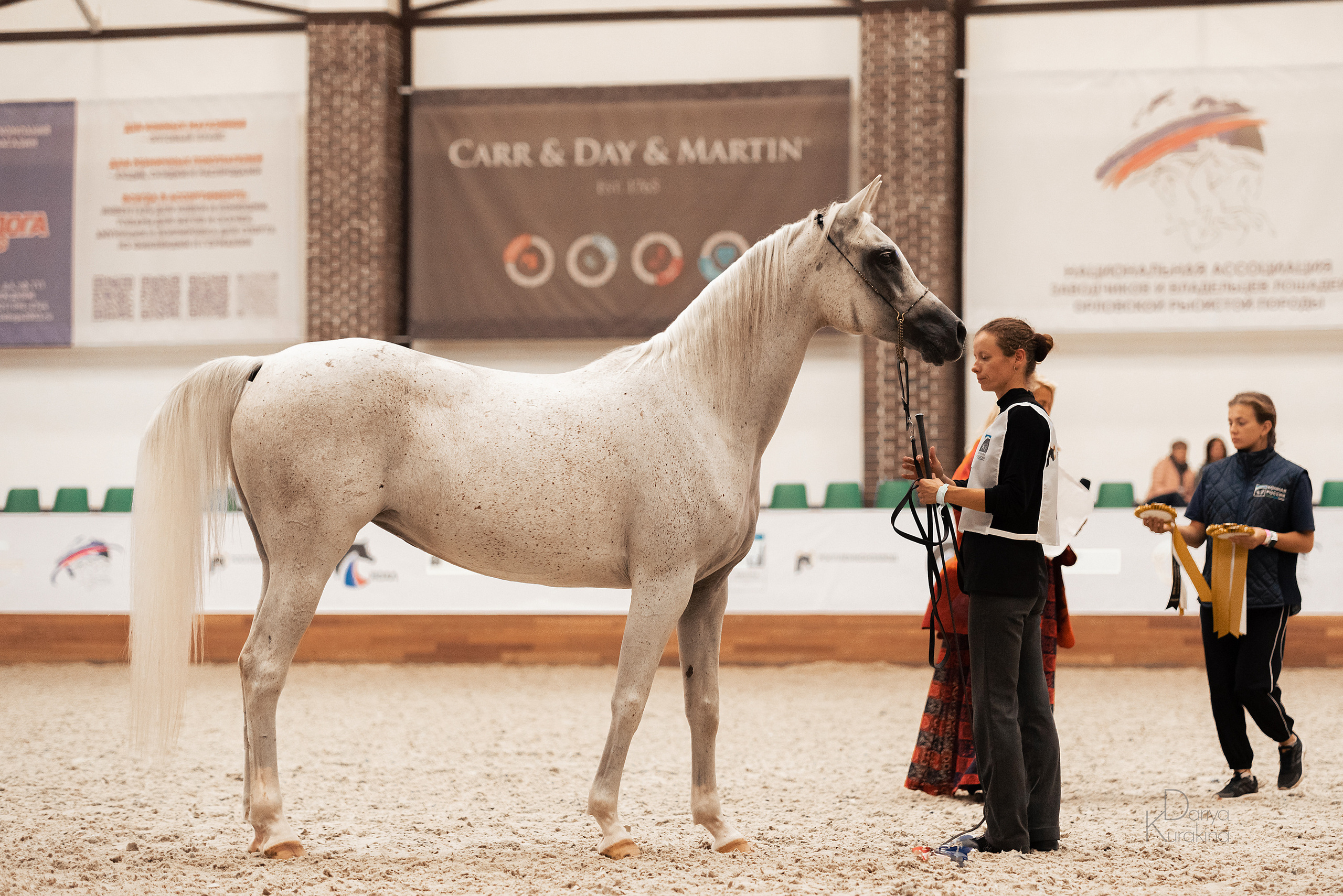 Конная Россия 2021. Конный фотограф Куракина Дарья • Фотосессии с лошадьми