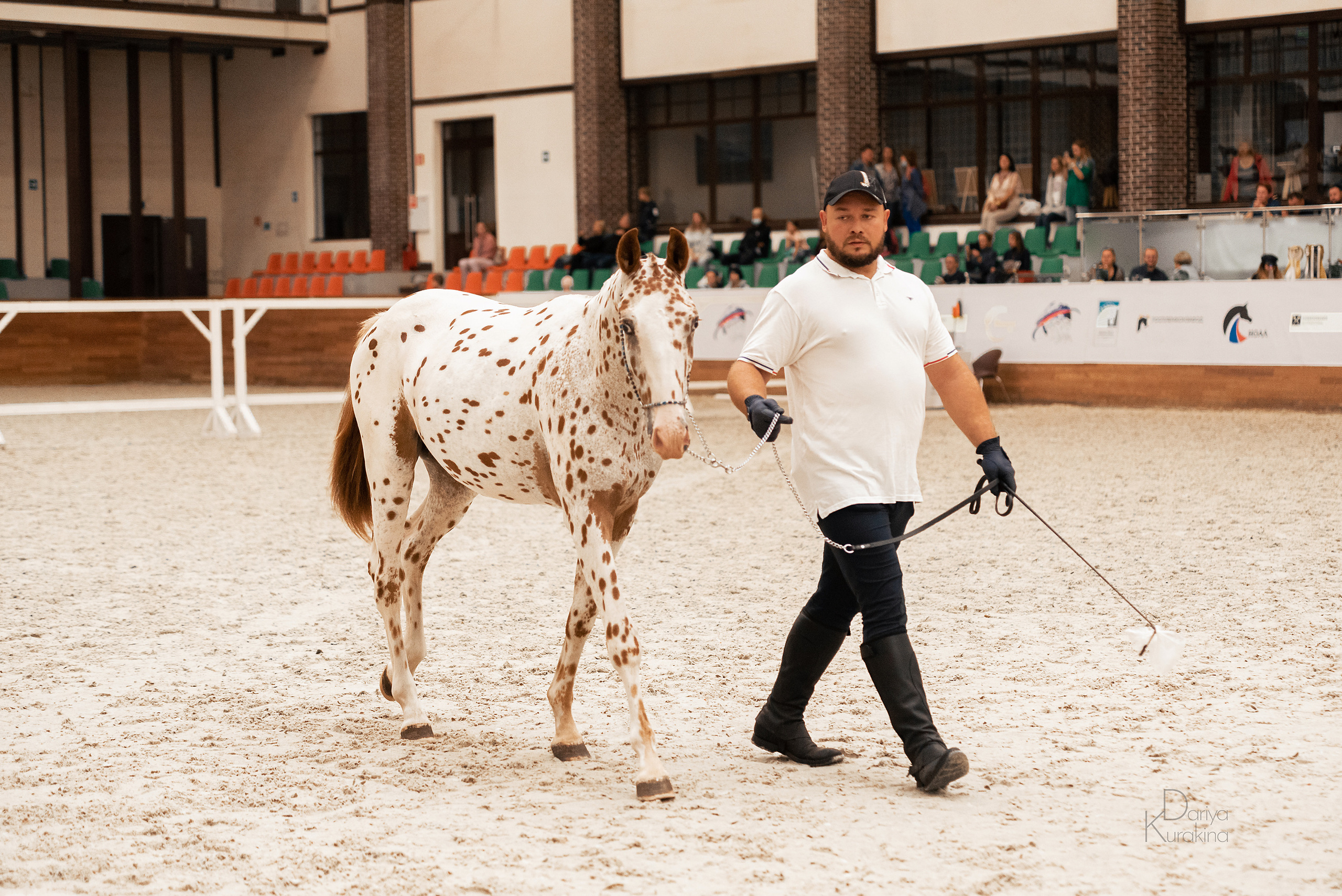 Конная Россия 2021. Конный фотограф Куракина Дарья • Фотосессии с лошадьми
