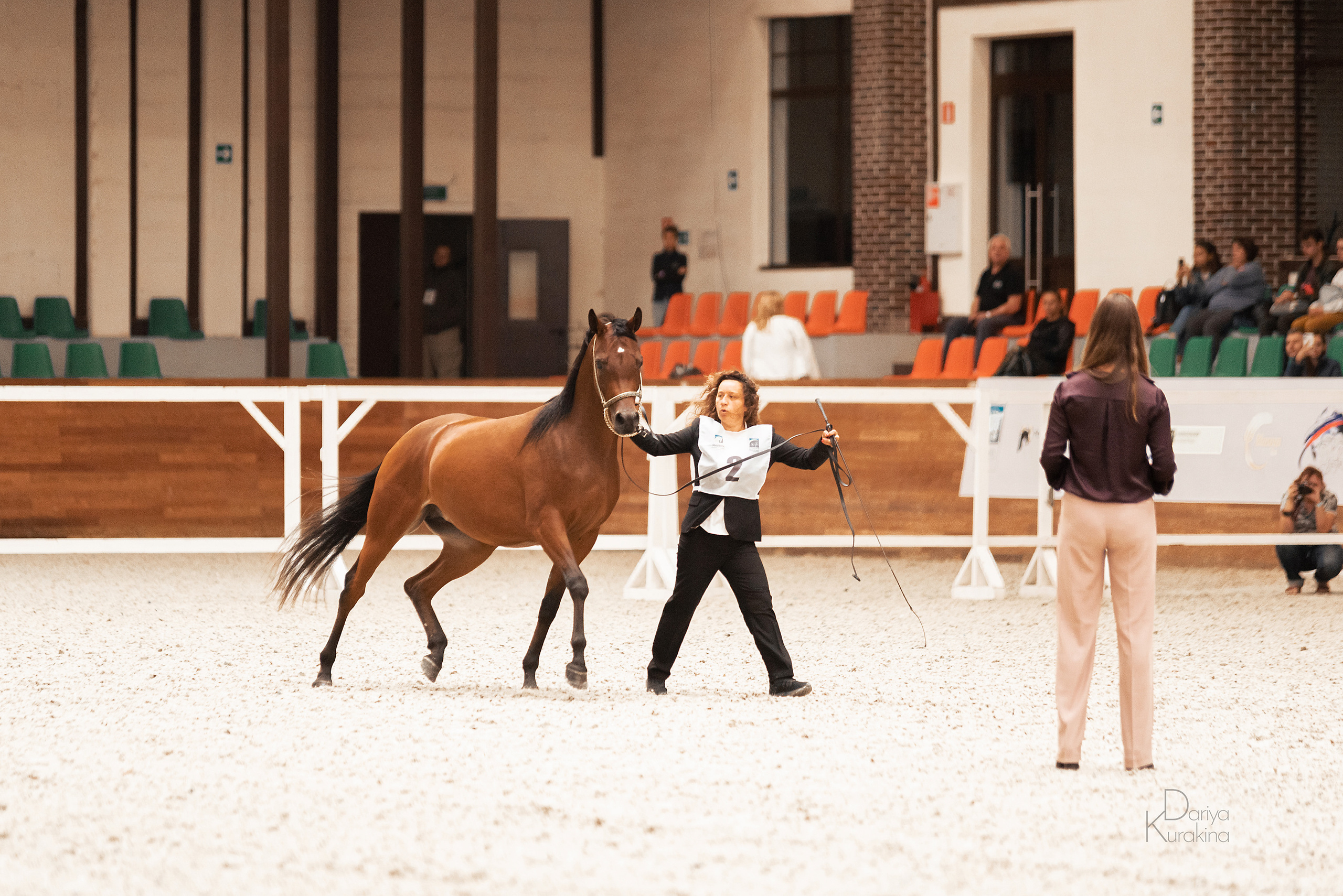 Конная Россия 2021. Конный фотограф Куракина Дарья • Фотосессии с лошадьми