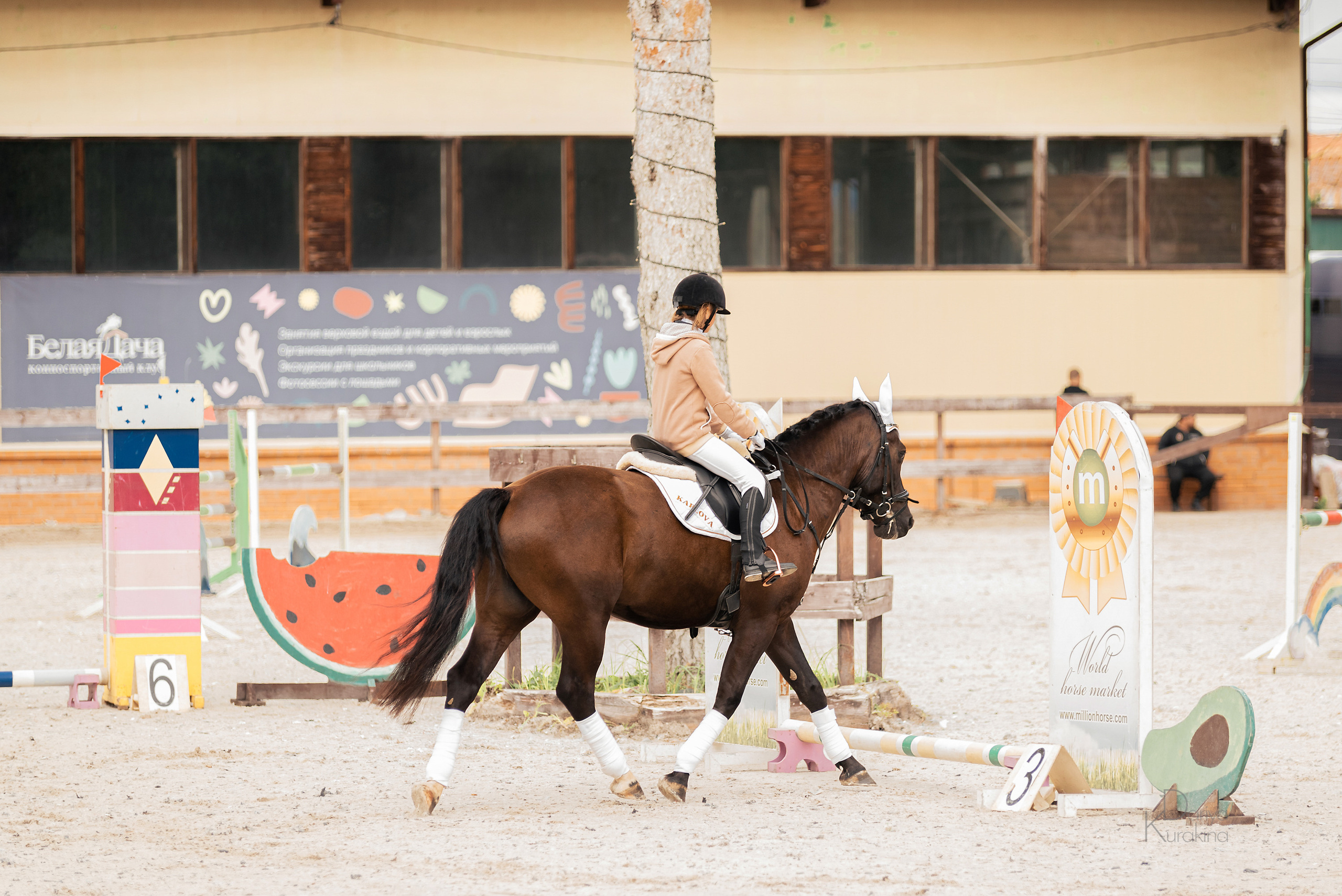 КСК Белая Дача, конкур. Конный фотограф Куракина Дарья • Фотосессии с лошадьми