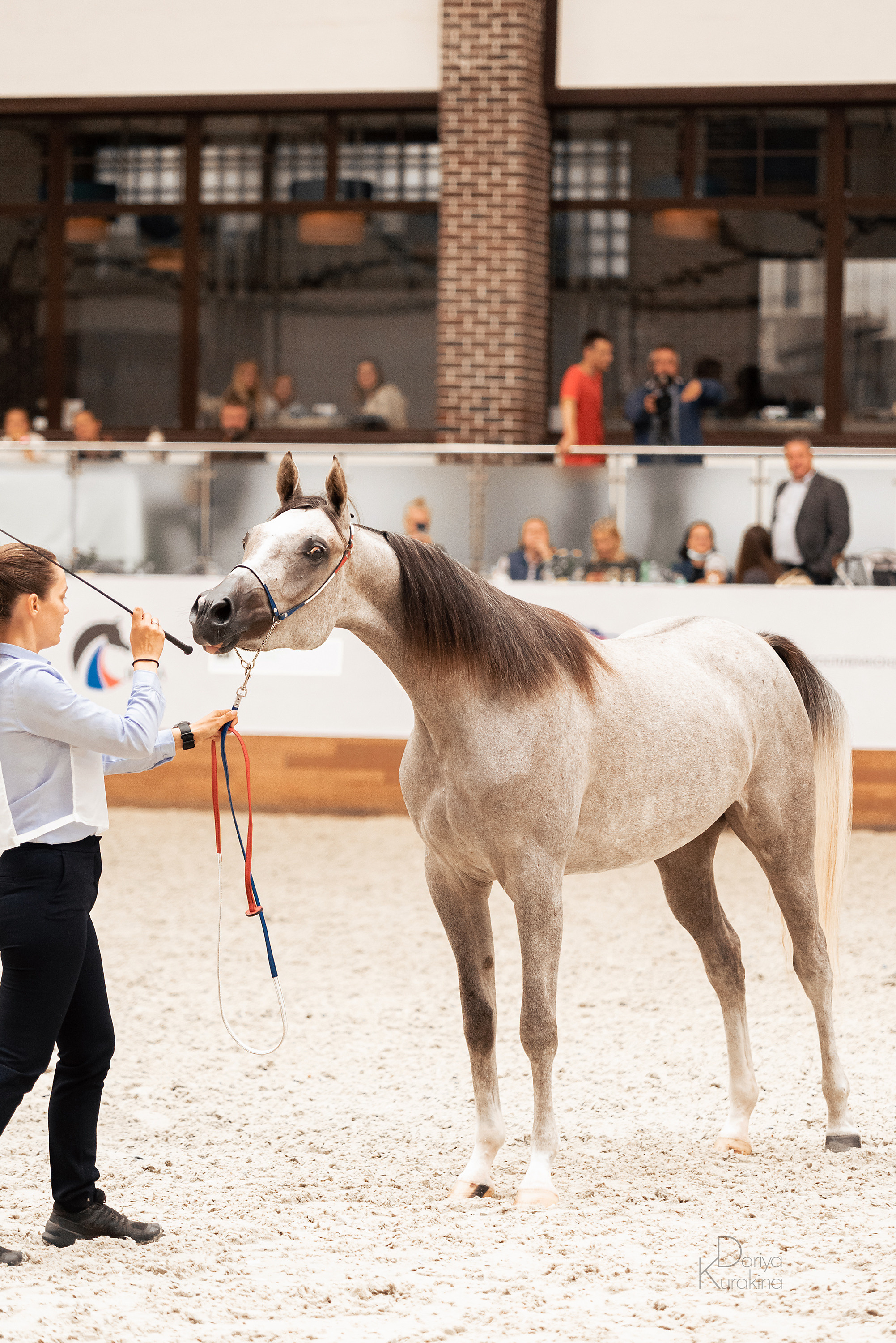 Конная Россия 2021. Конный фотограф Куракина Дарья • Фотосессии с лошадьми