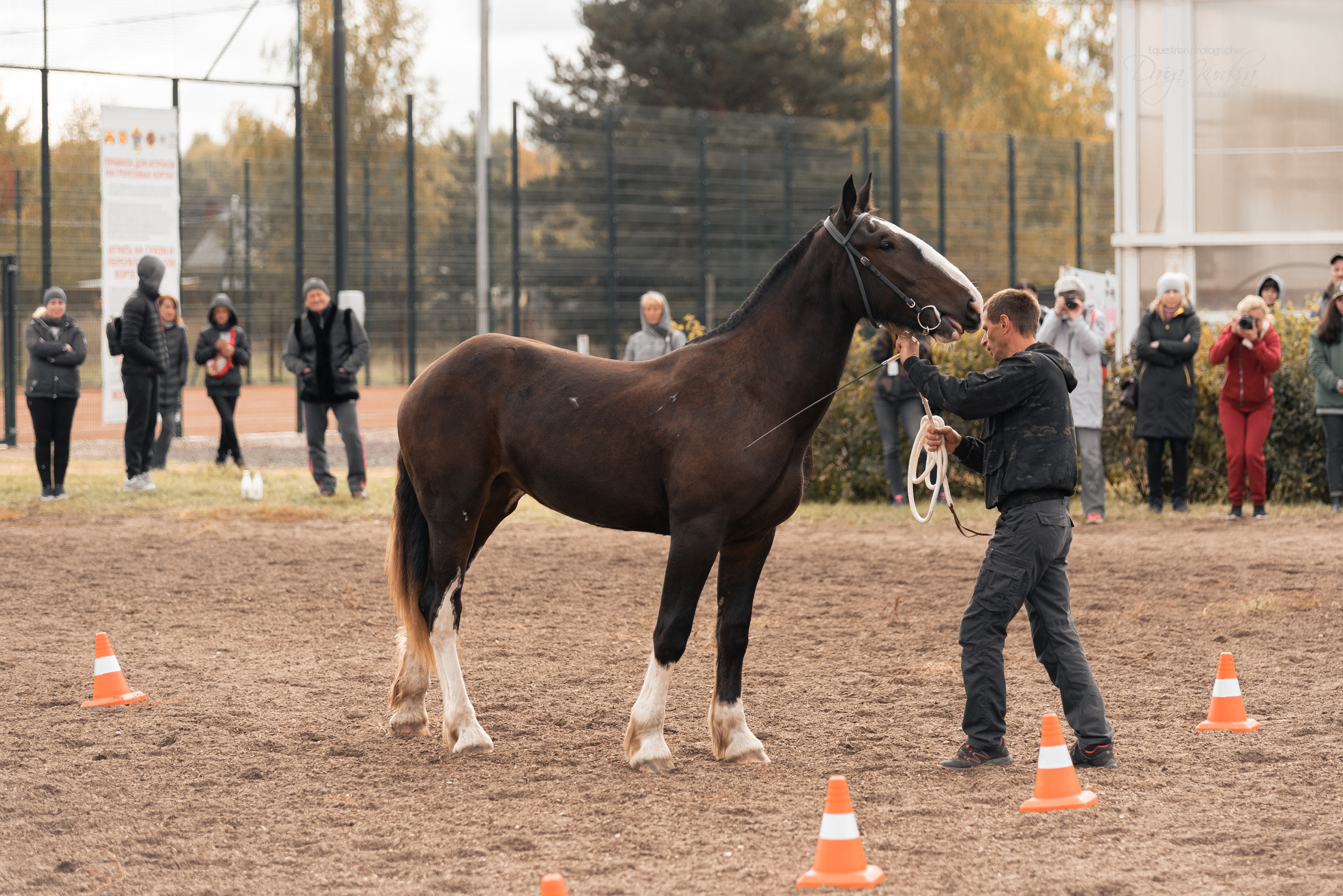 Богдарня. Конный фотограф Куракина Дарья • Фотосессии с лошадьми