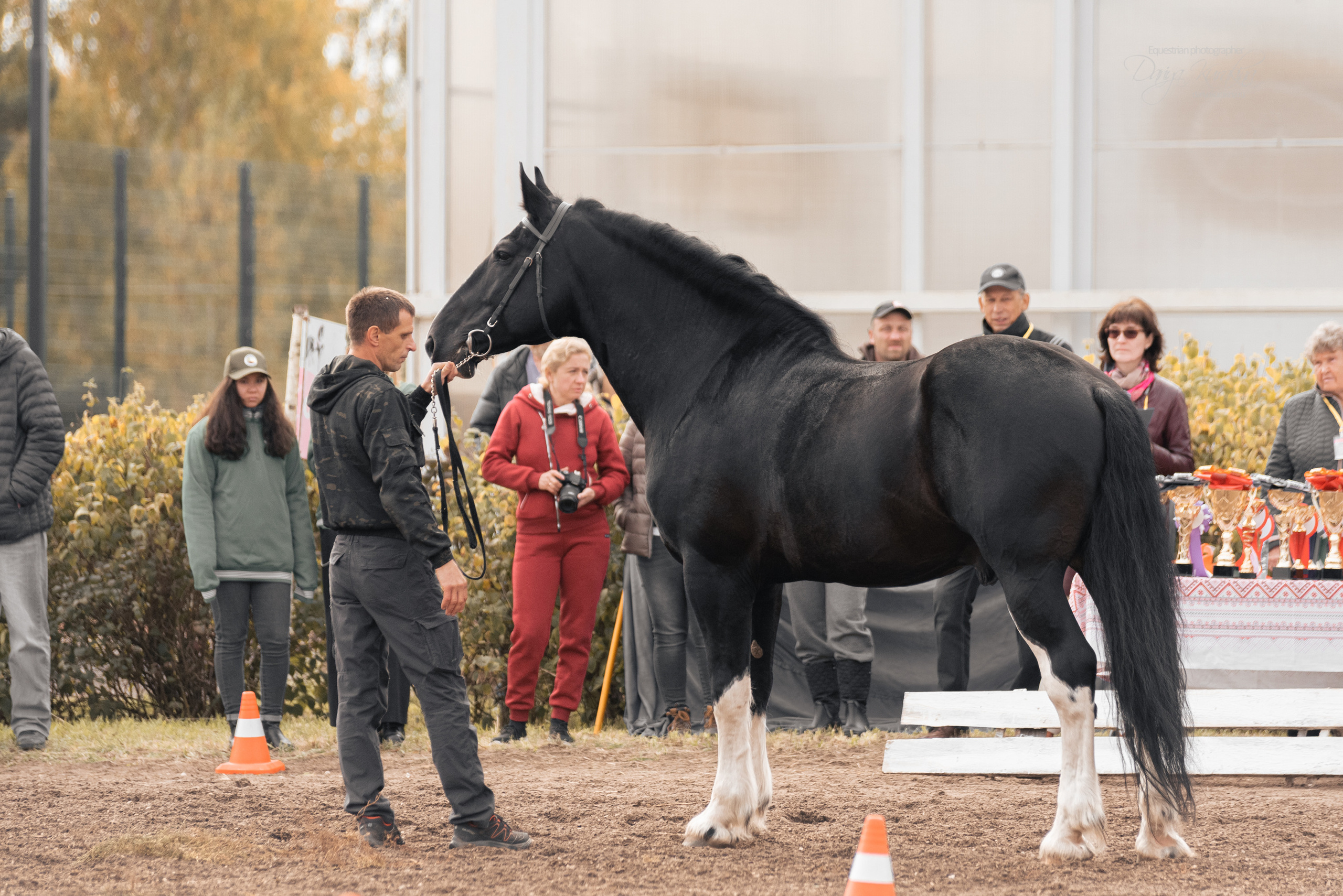 Богдарня. Конный фотограф Куракина Дарья • Фотосессии с лошадьми