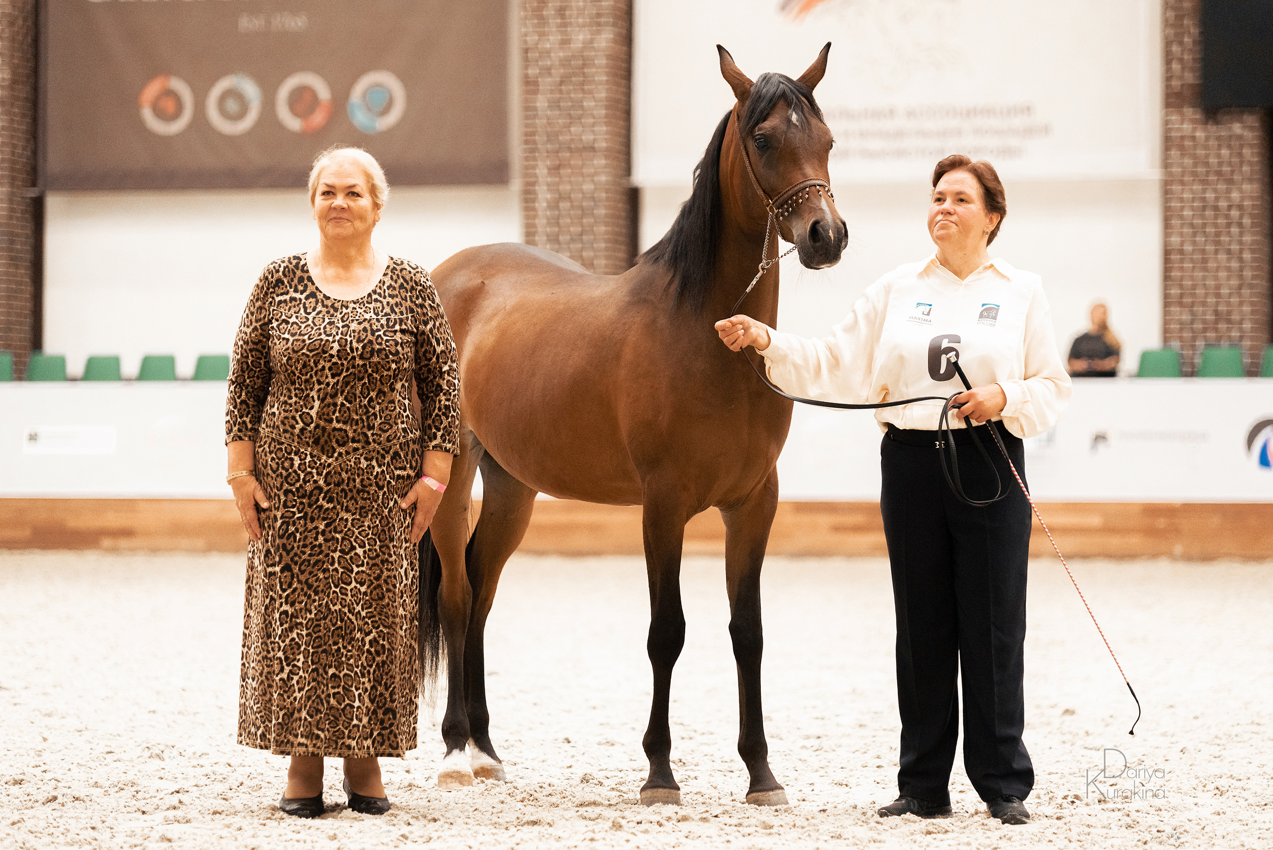 Конная Россия 2021. Конный фотограф Куракина Дарья • Фотосессии с лошадьми