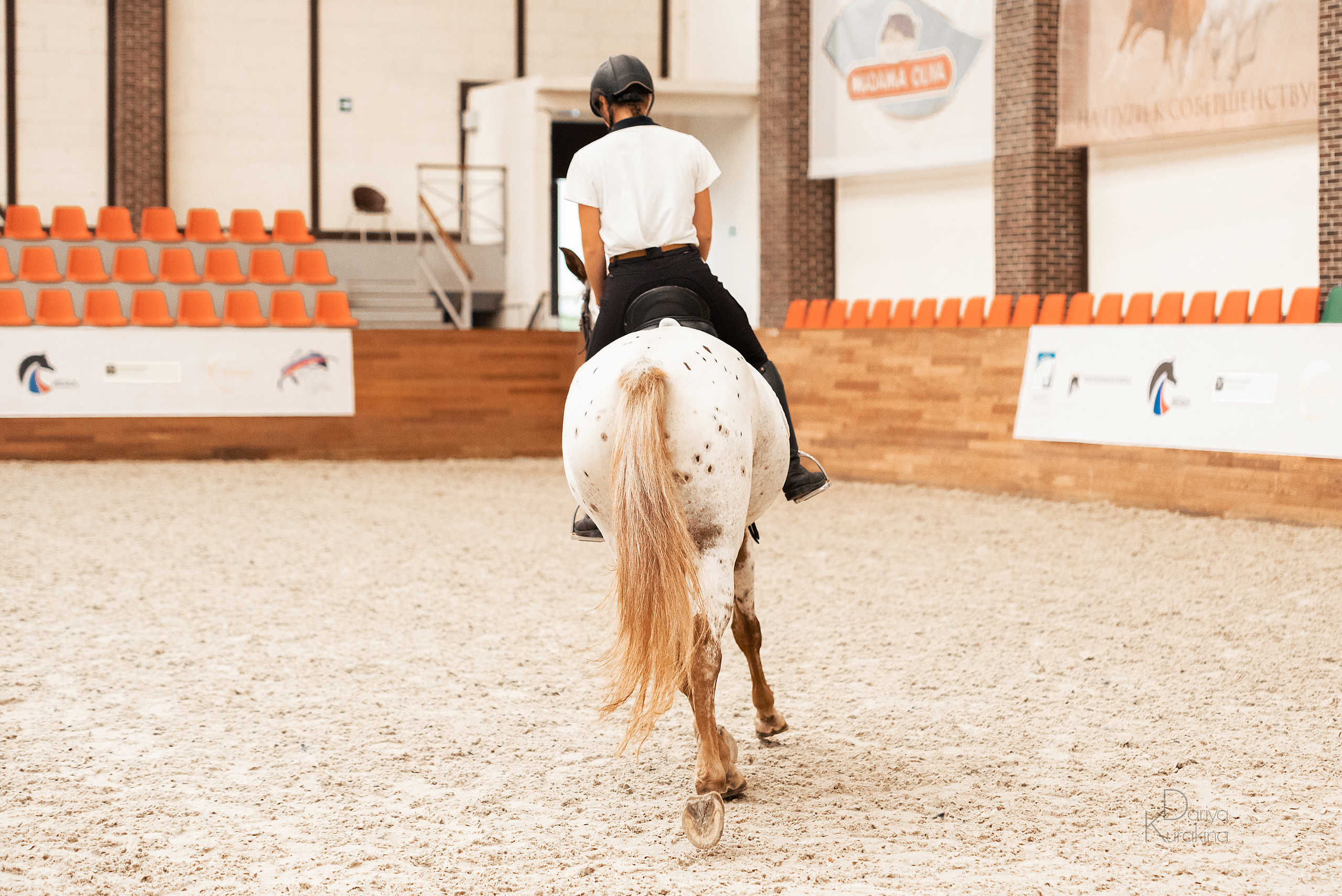 Конная Россия 2021. Конный фотограф Куракина Дарья • Фотосессии с лошадьми