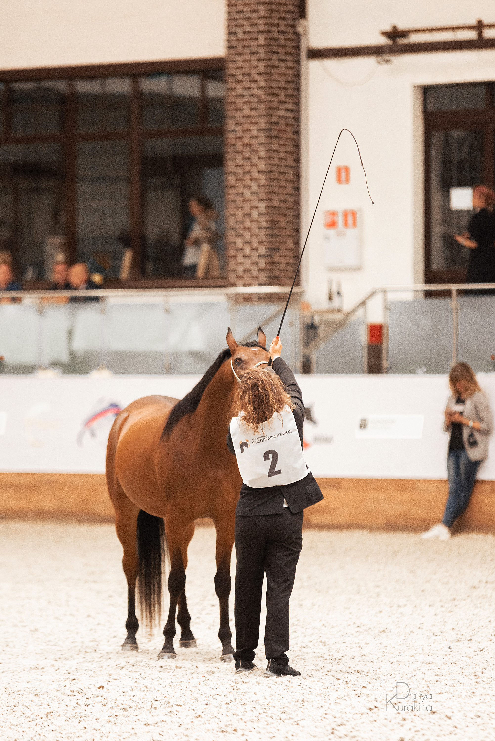 Конная Россия 2021. Конный фотограф Куракина Дарья • Фотосессии с лошадьми