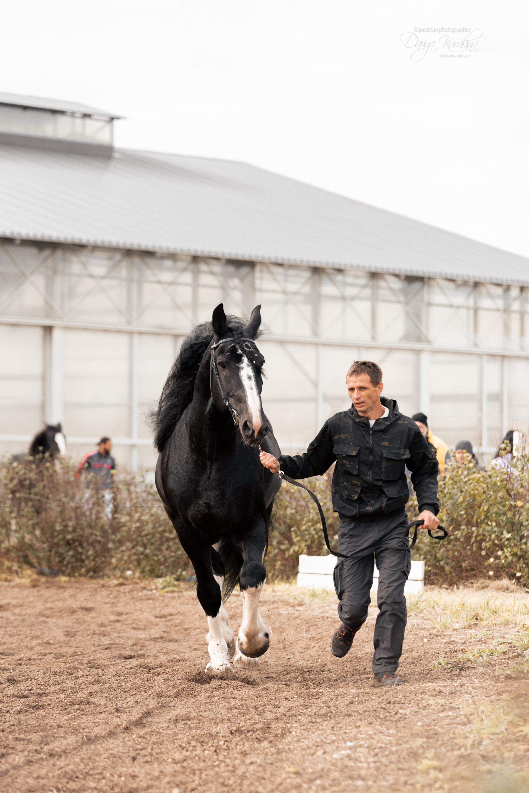 Богдарня. Конный фотограф Куракина Дарья • Фотосессии с лошадьми