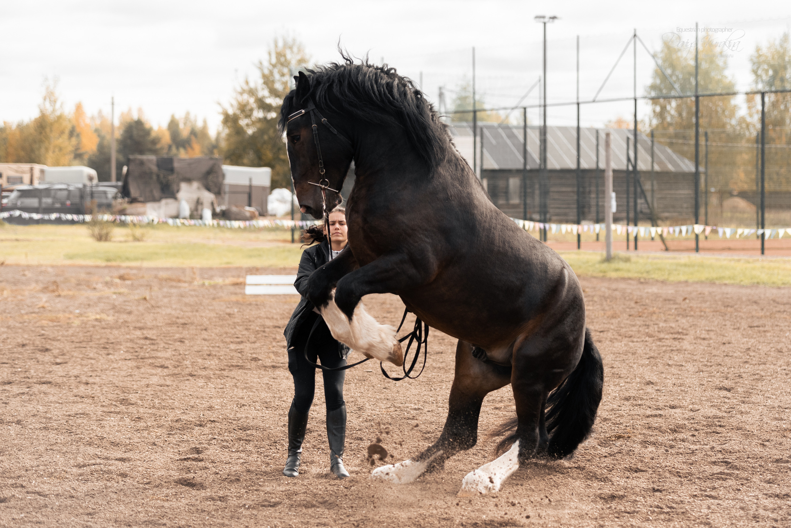 Богдарня. Конный фотограф Куракина Дарья • Фотосессии с лошадьми
