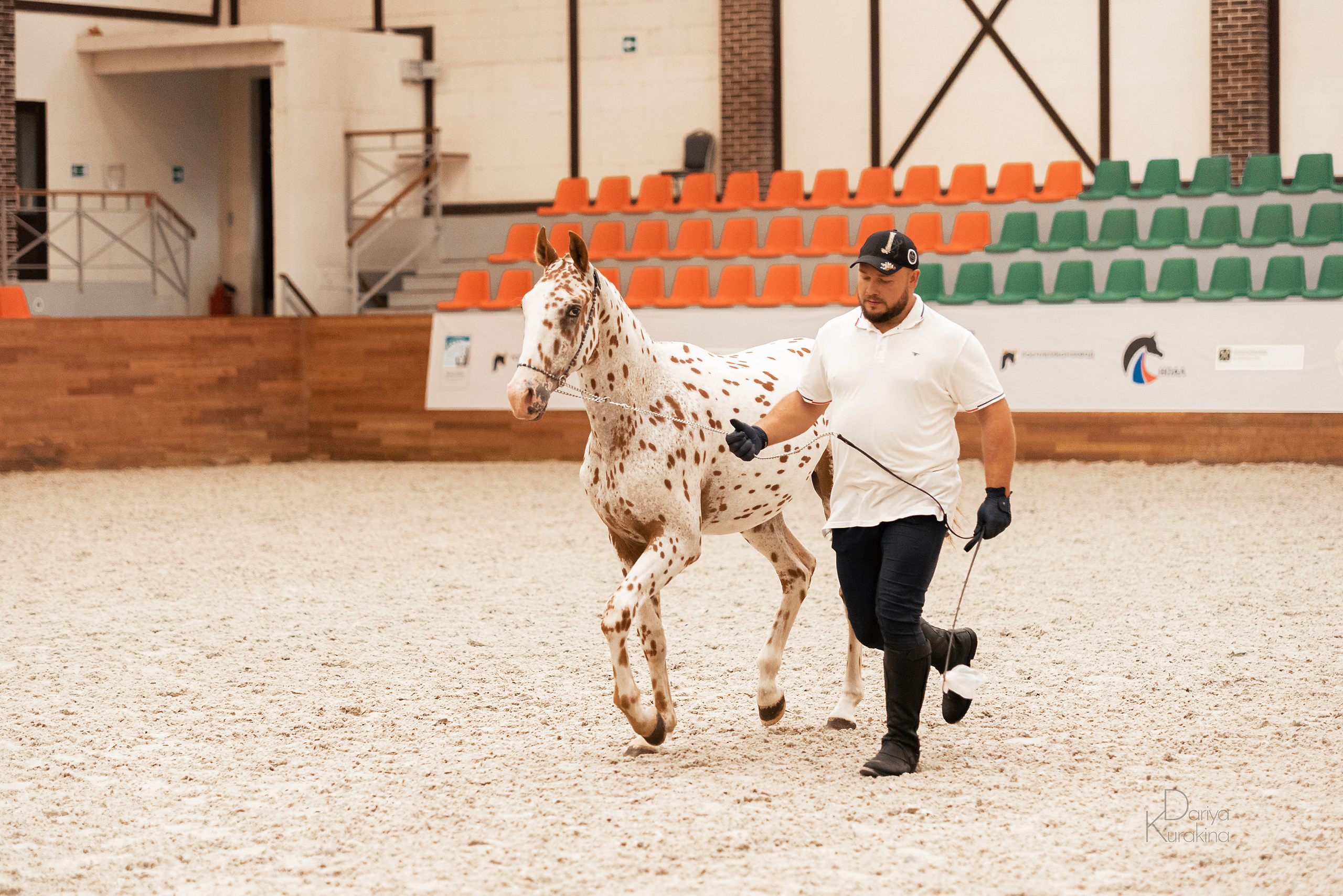 Конная Россия 2021. Конный фотограф Куракина Дарья • Фотосессии с лошадьми