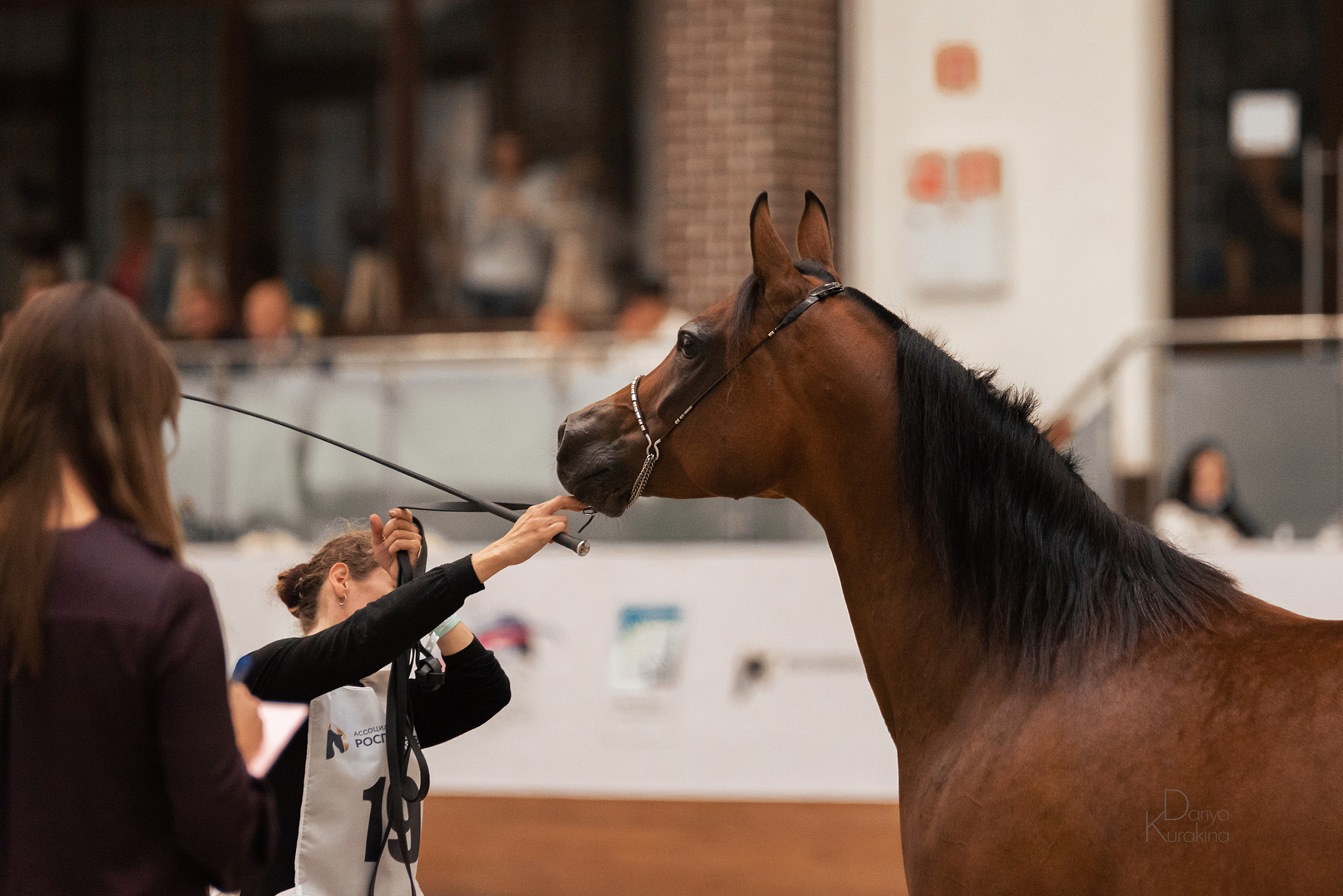 Конная Россия 2021. Конный фотограф Куракина Дарья • Фотосессии с лошадьми