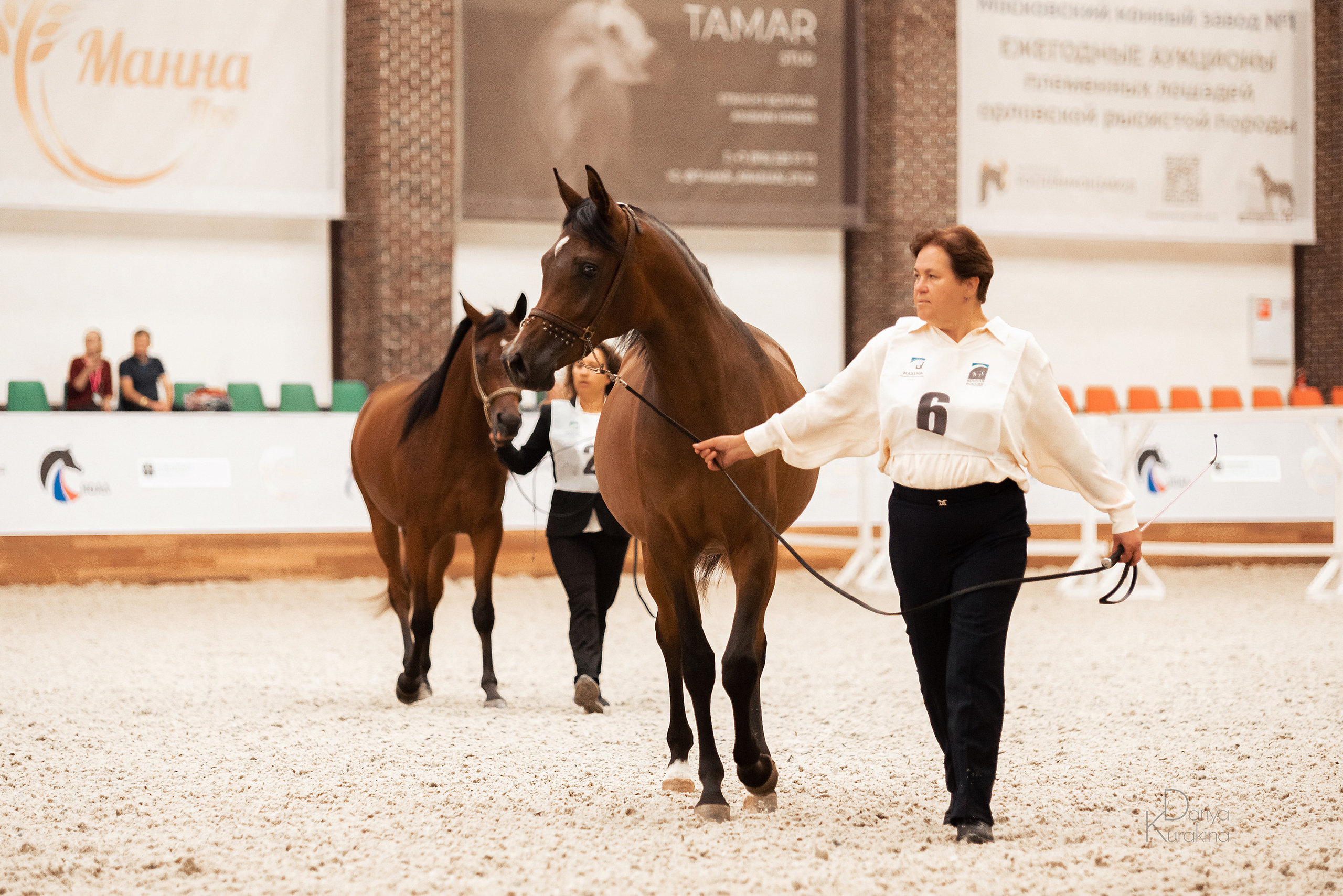 Конная Россия 2021. Конный фотограф Куракина Дарья • Фотосессии с лошадьми
