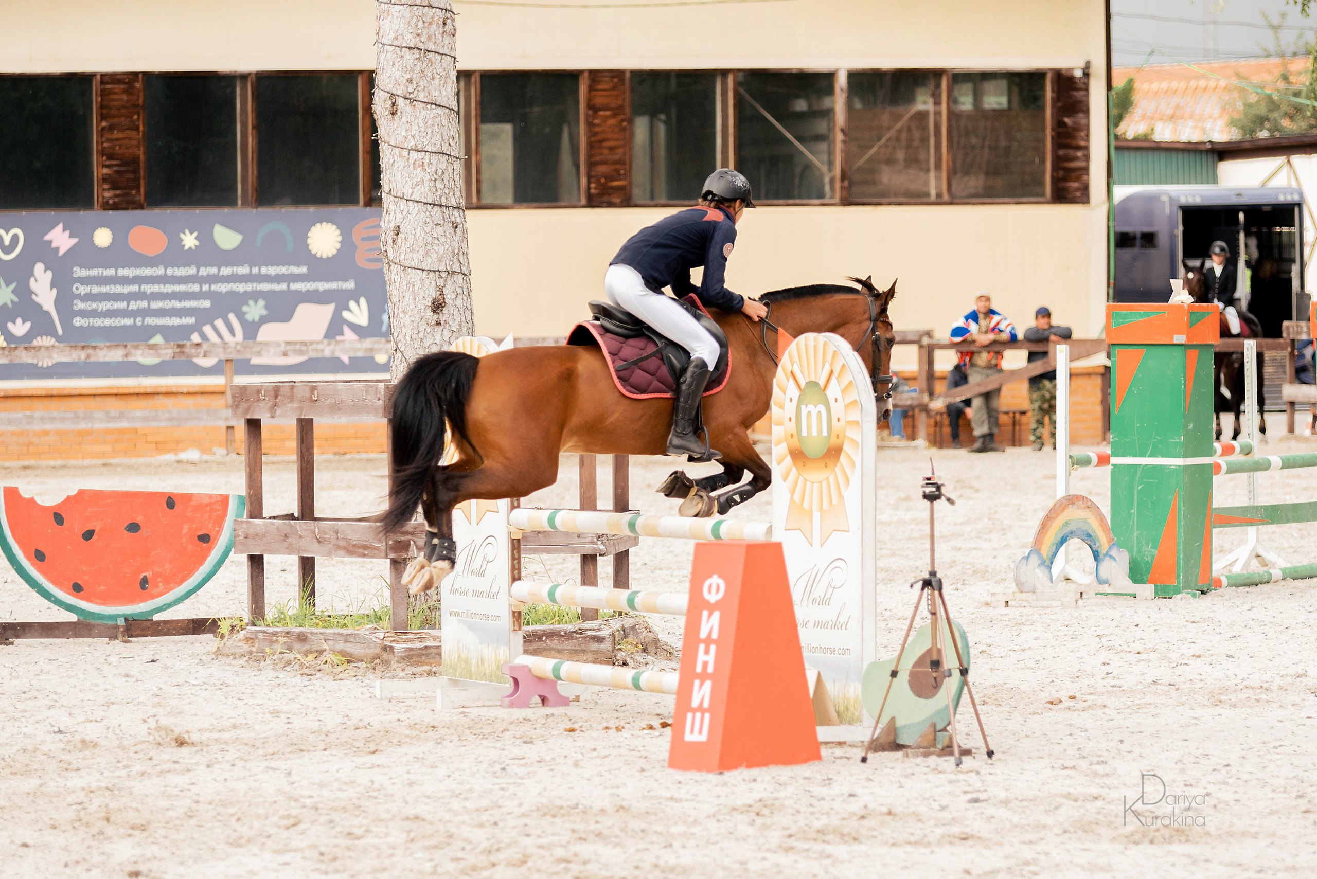 КСК Белая Дача, конкур. Конный фотограф Куракина Дарья • Фотосессии с лошадьми