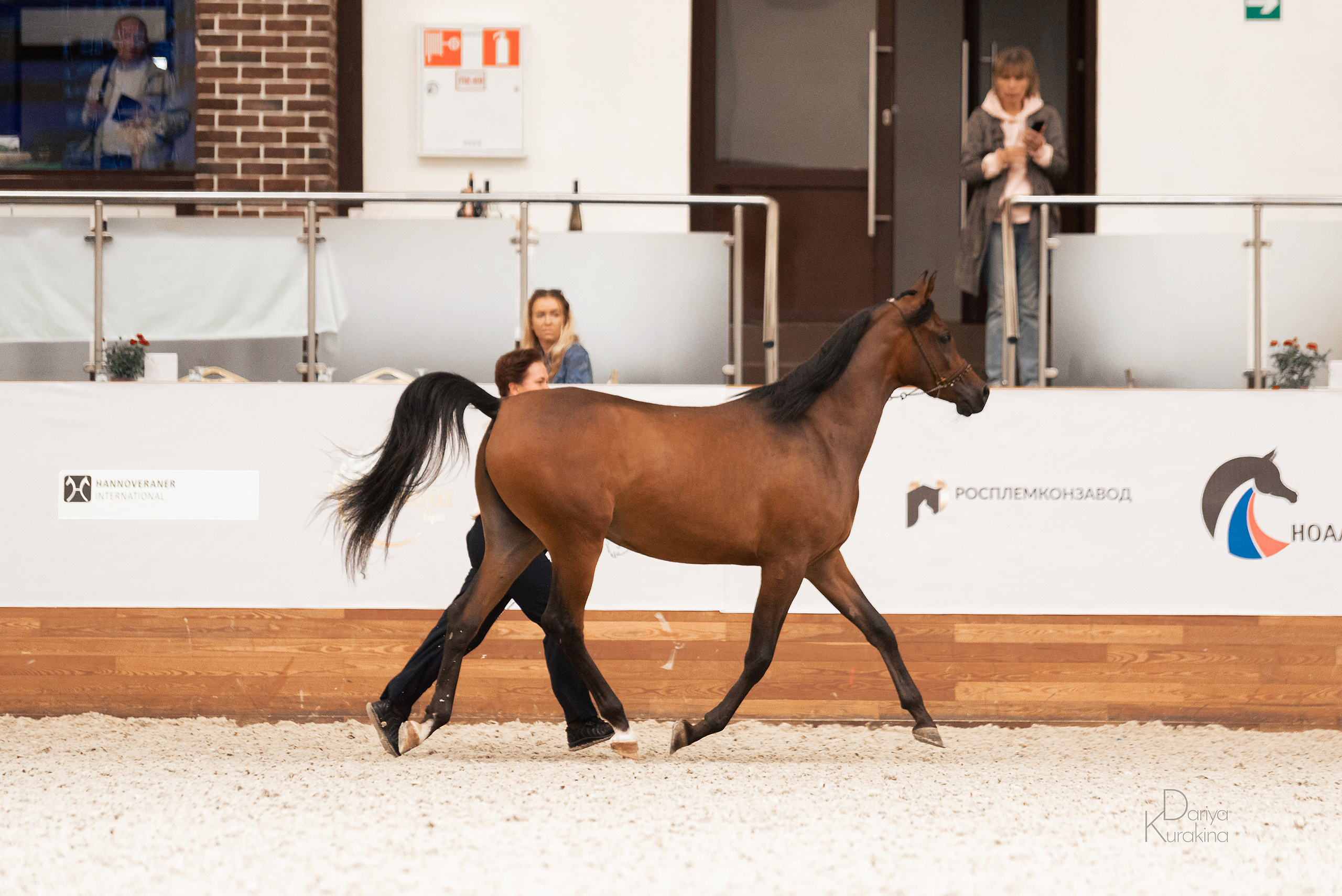 Конная Россия 2021. Конный фотограф Куракина Дарья • Фотосессии с лошадьми