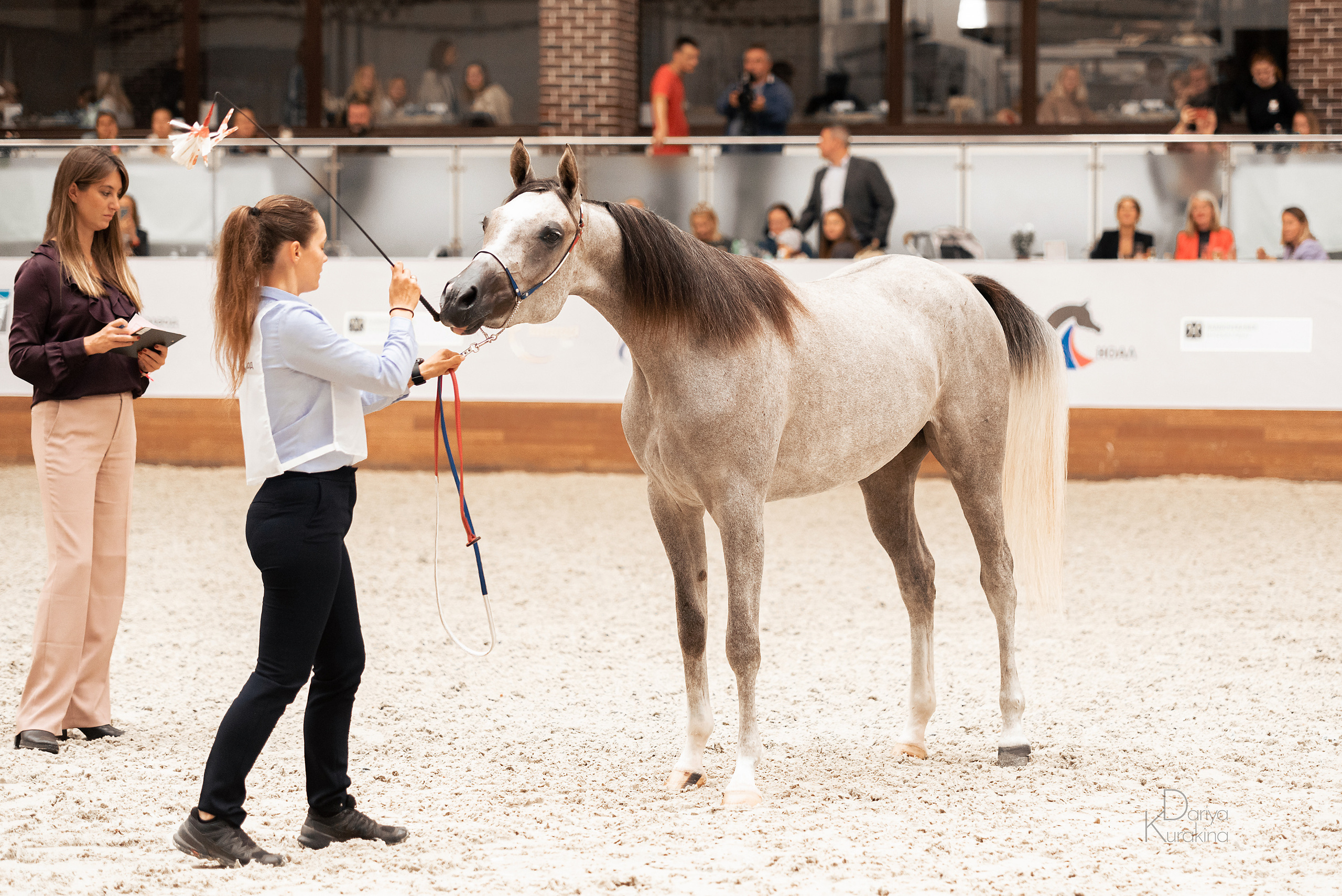 Конная Россия 2021. Конный фотограф Куракина Дарья • Фотосессии с лошадьми