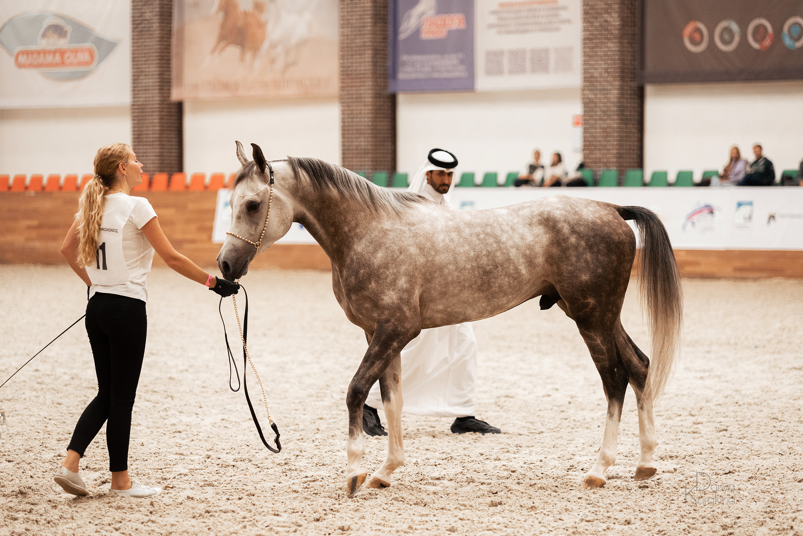 Конная Россия 2021. Конный фотограф Куракина Дарья • Фотосессии с лошадьми