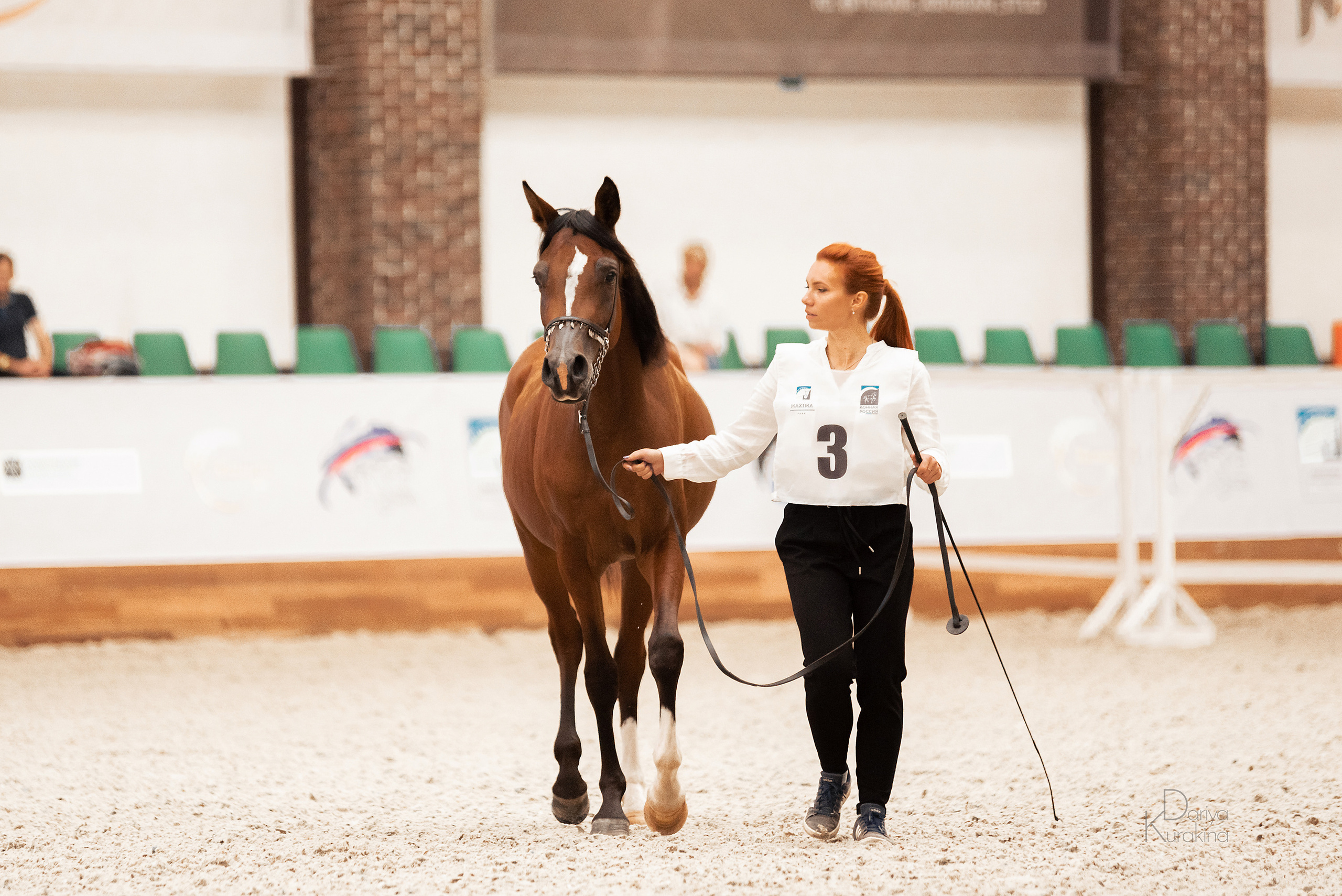 Конная Россия 2021. Конный фотограф Куракина Дарья • Фотосессии с лошадьми