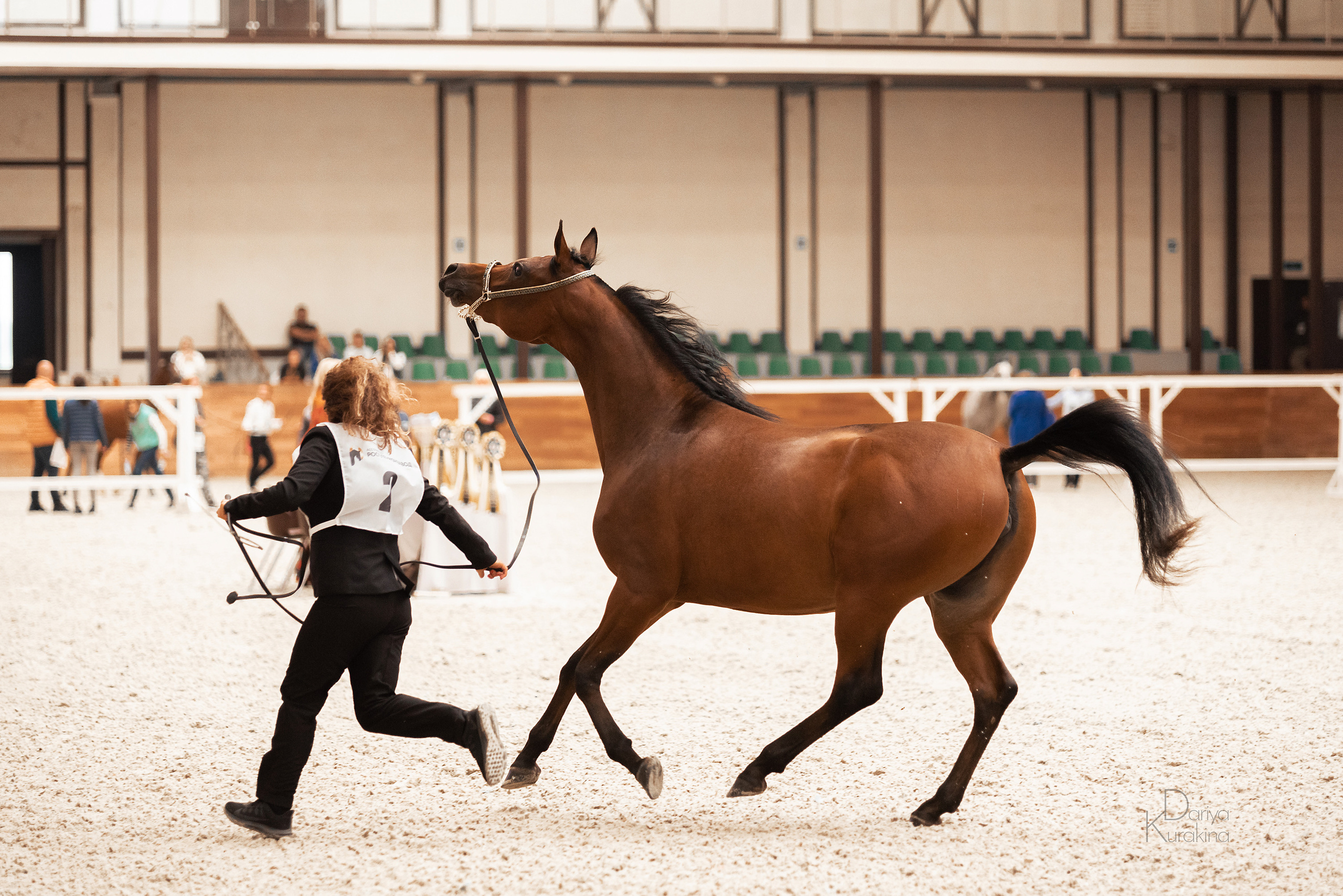 Конная Россия 2021. Конный фотограф Куракина Дарья • Фотосессии с лошадьми