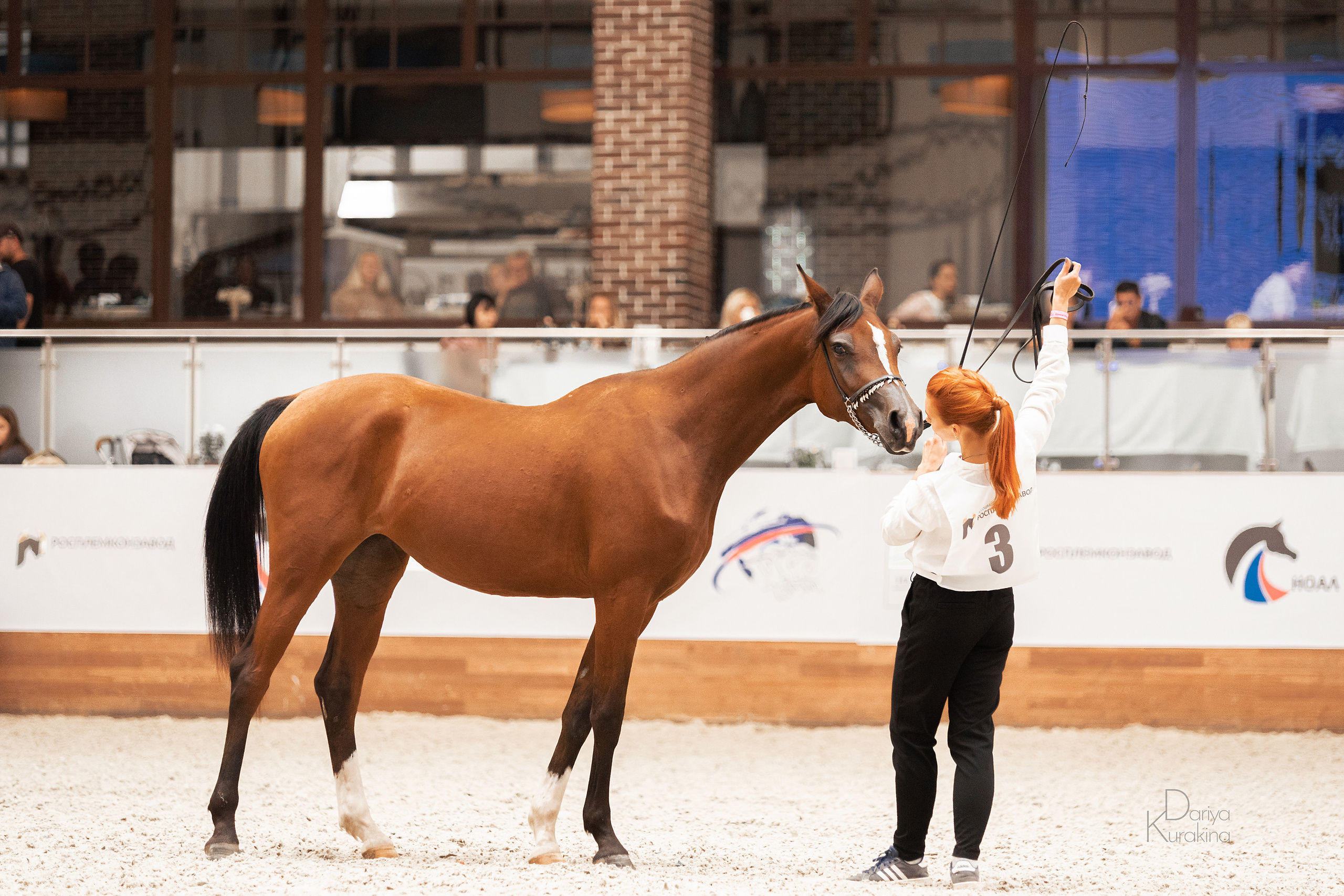 Конная Россия 2021. Конный фотограф Куракина Дарья • Фотосессии с лошадьми