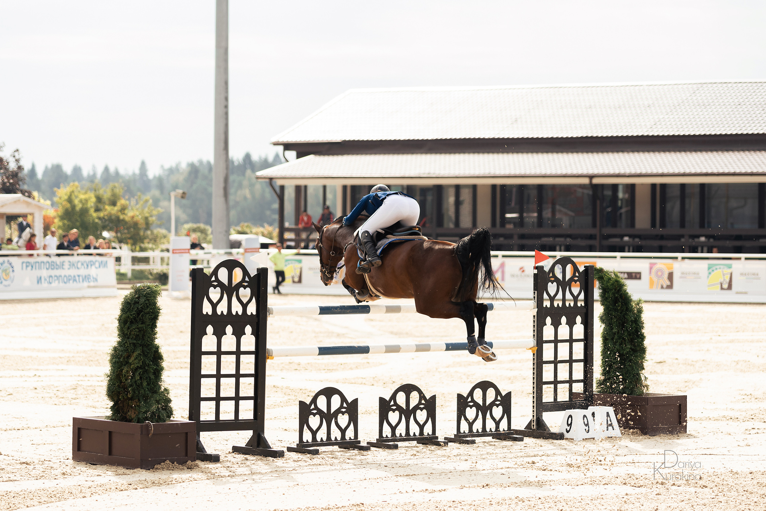 Конная Россия 2021. Конный фотограф Куракина Дарья • Фотосессии с лошадьми