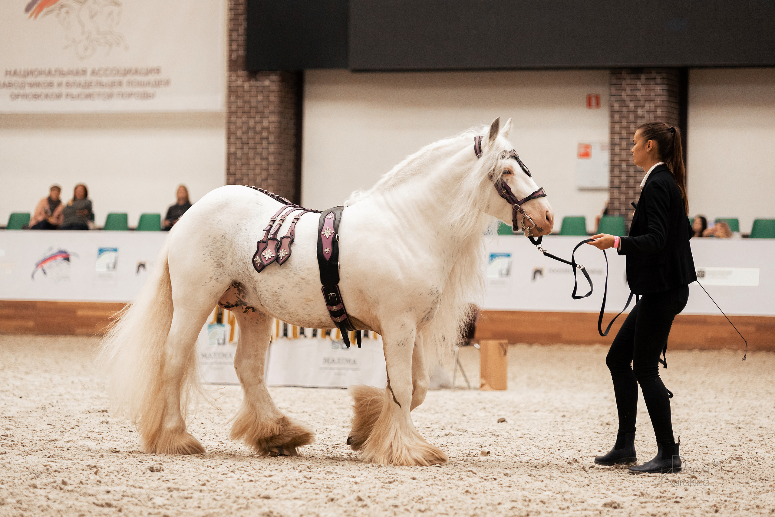 Конная Россия 2021. Конный фотограф Куракина Дарья • Фотосессии с лошадьми