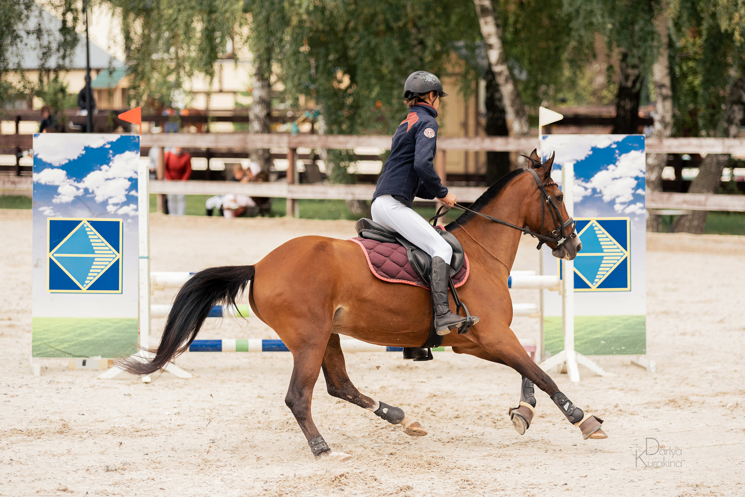 КСК Белая Дача, конкур. Конный фотограф Куракина Дарья • Фотосессии с лошадьми